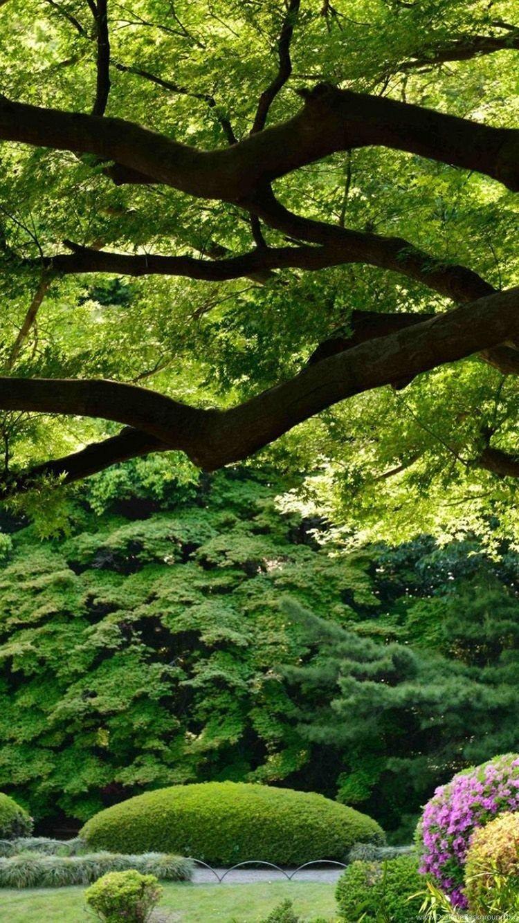 750x1334 Gardens Wallpaper: Japan Tokyo Shinjuku Gyoen Garden iPhone 6