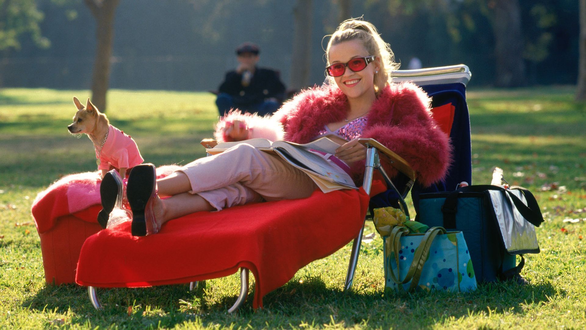 1920x1080 Reese Witherspoon reportedly in talks for 'Legally Blonde 3'