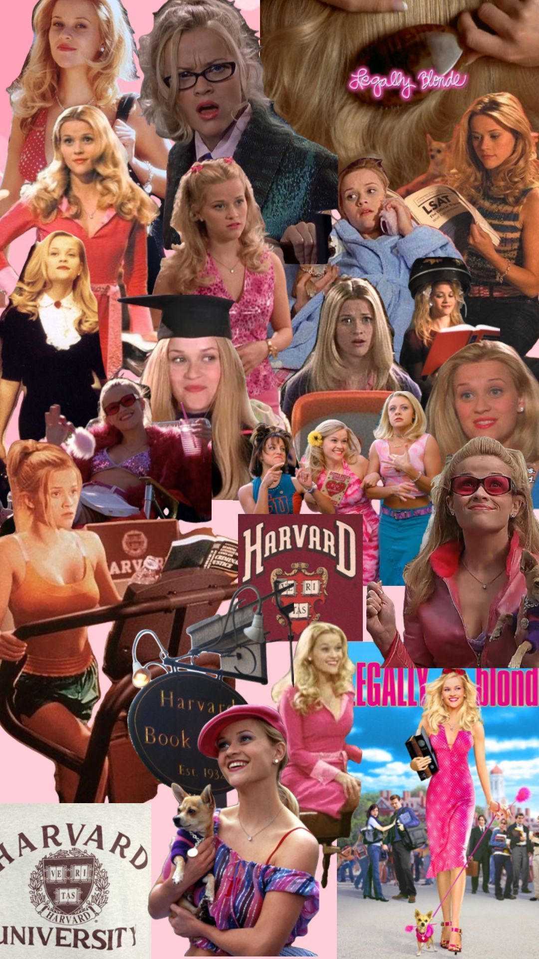 Elle Woods Wallpapers - Top Free Elle Woods Backgrounds - WallpaperAccess