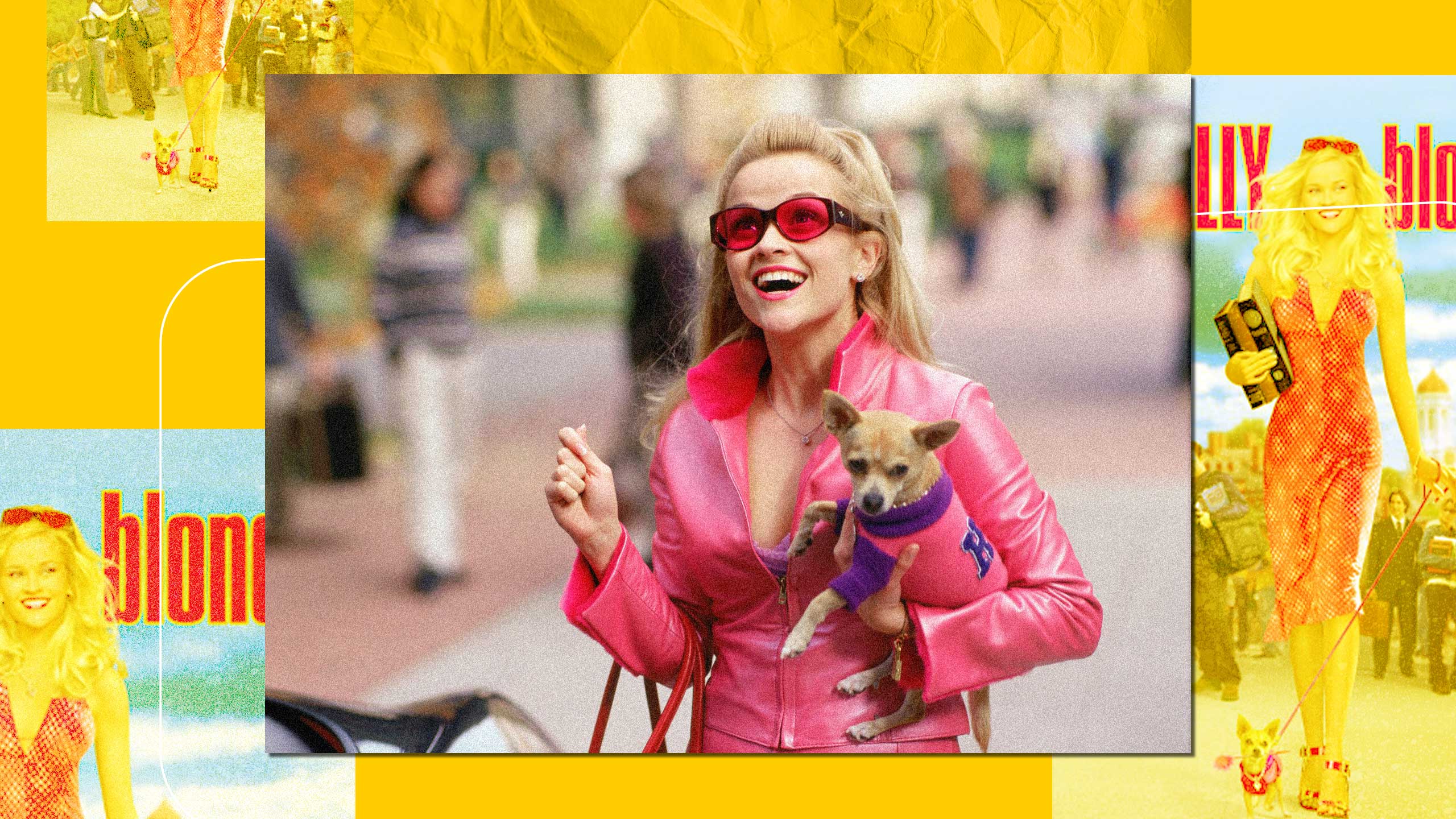 2560x1440 Legally Blonde' wasn't all 'bend and snap.' The beloved film was a true celebration of heroic femmedom