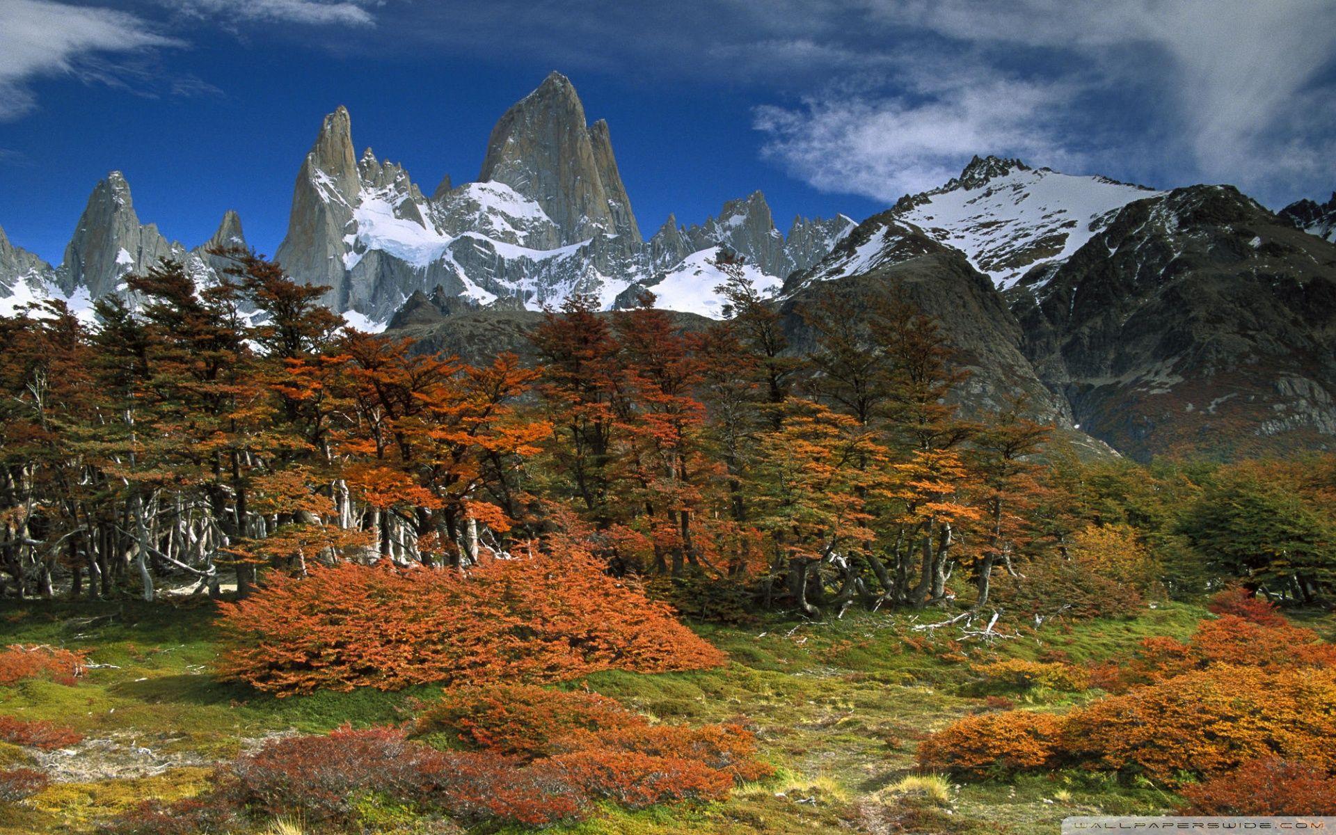 1920x1200 Fitzroy And Beech Trees In Autumn Los Glaciares National Park