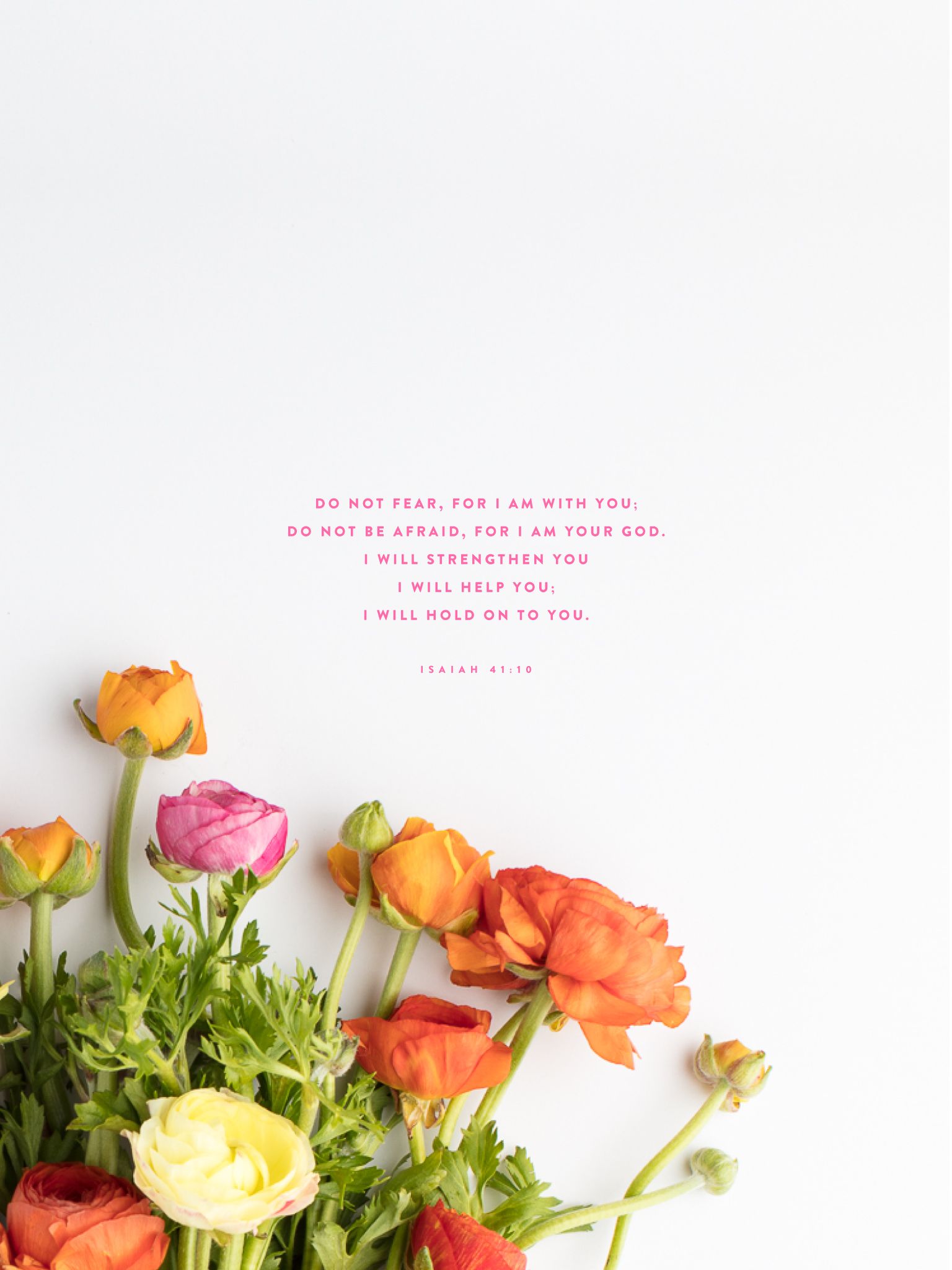 1536x2048 June Background: Free Download for Your Phone, Tablet or Desktop