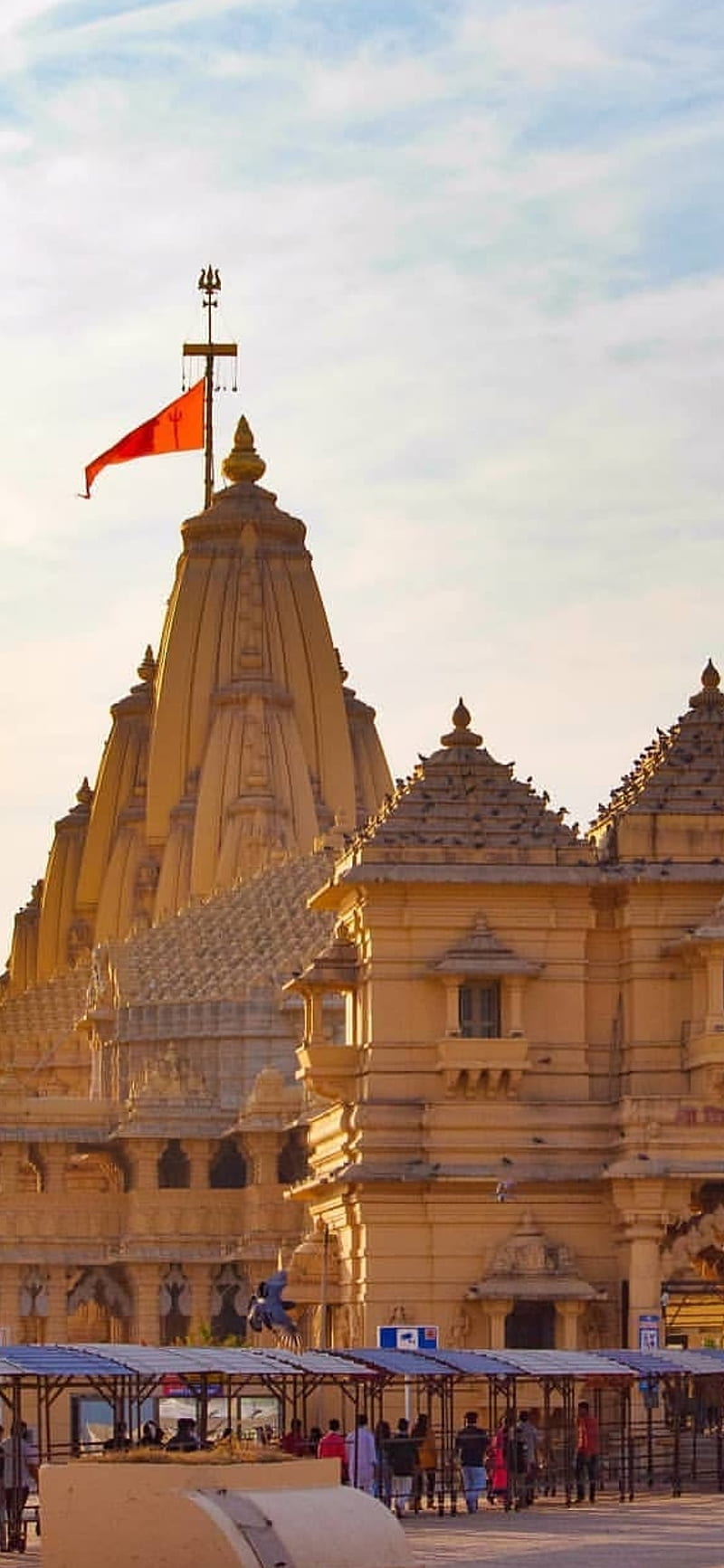 800x1733 HD somnath wallpaper