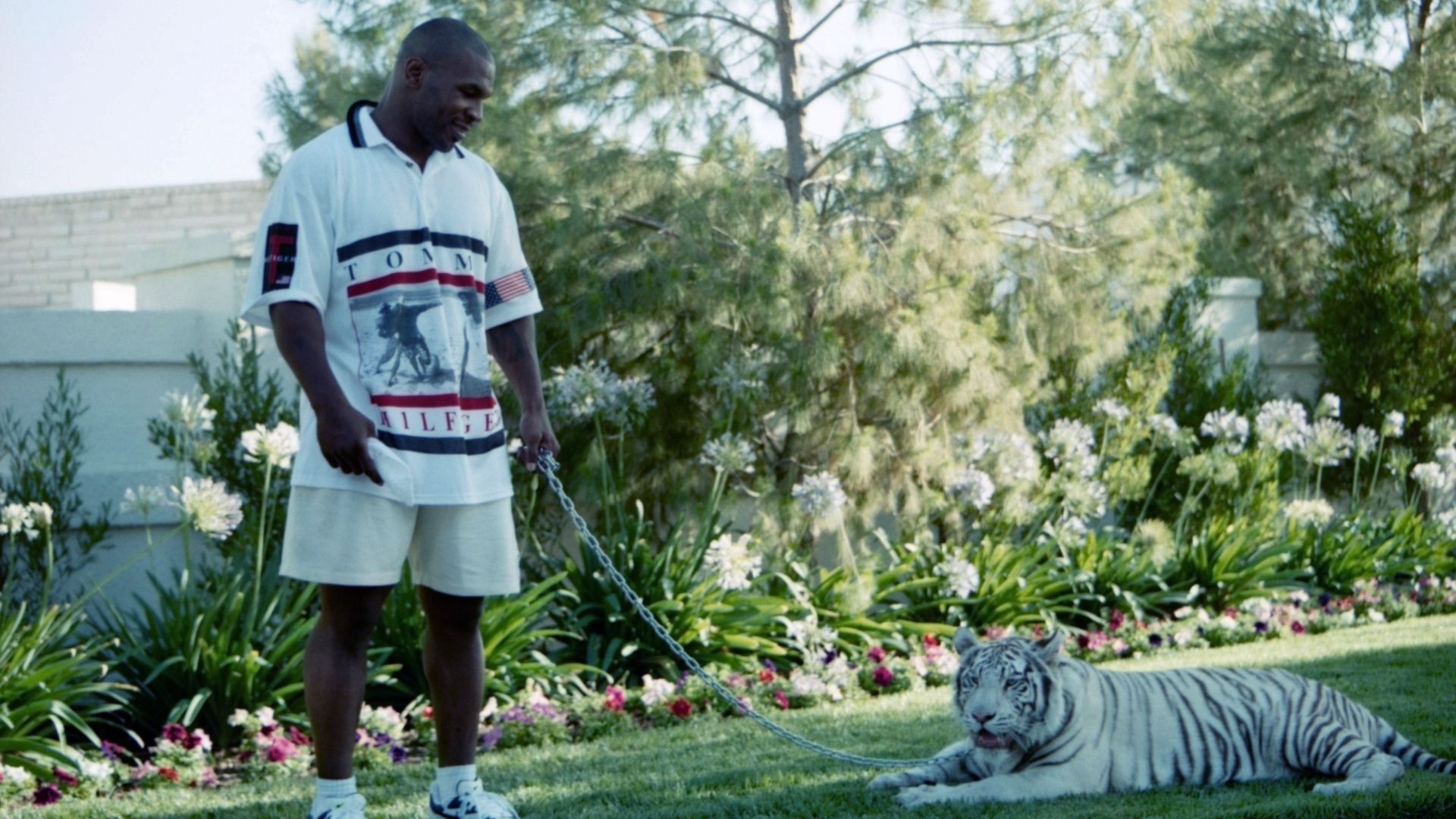 1920x1080 Mike Tyson recalls story of when his pet tigers 'ripped someone's arm off' and he paid $000 in compensation