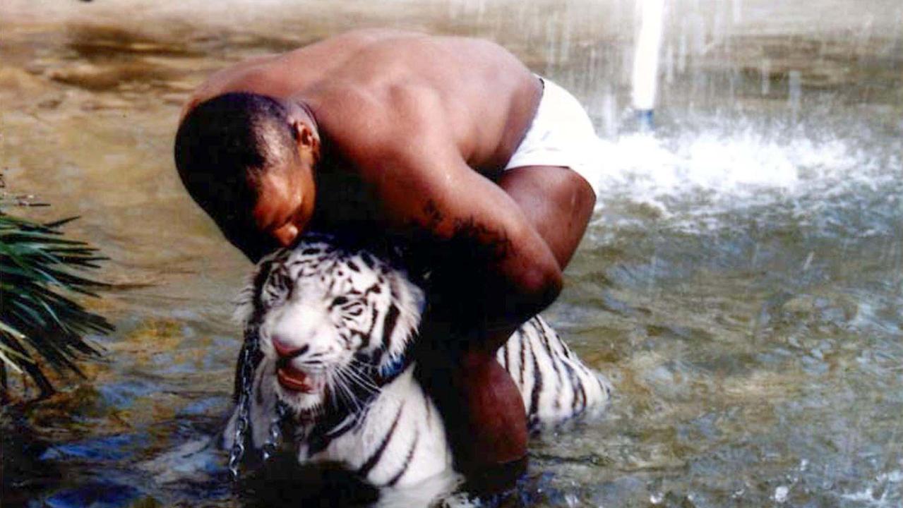 1279x720 Mike Tyson admits his tigers could have come from convicted Netflix star Joe Exotic, boxing news. news.com.au