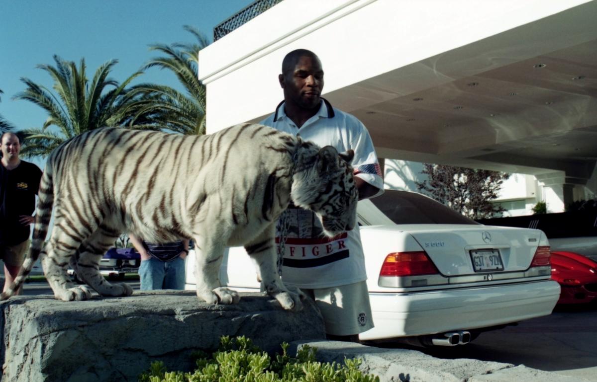 1200x769 Mike Tyson finally reveals how he acquired his tigers in a doozy of a deal