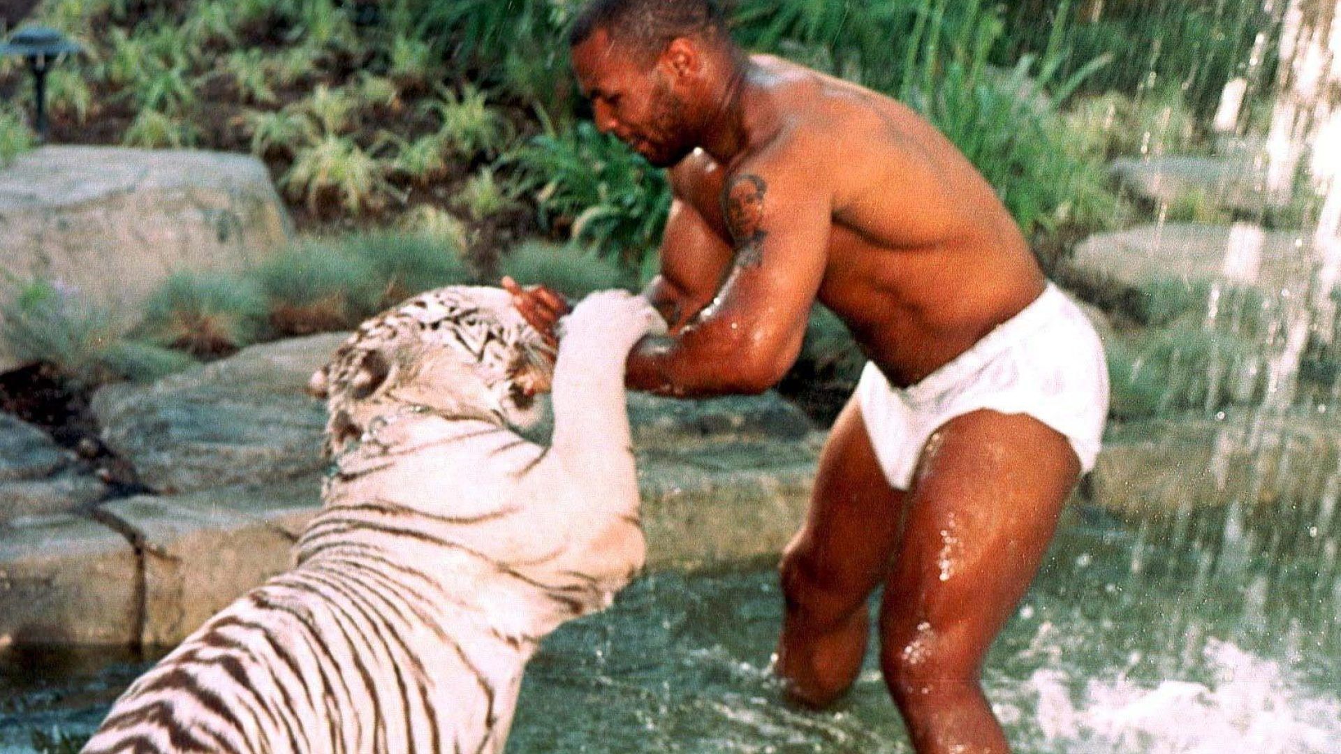 1920x1080 Mike Tyson tells how pet Bengal tiger 'f***** up' a trespasser's hand so badly he gave them £200k