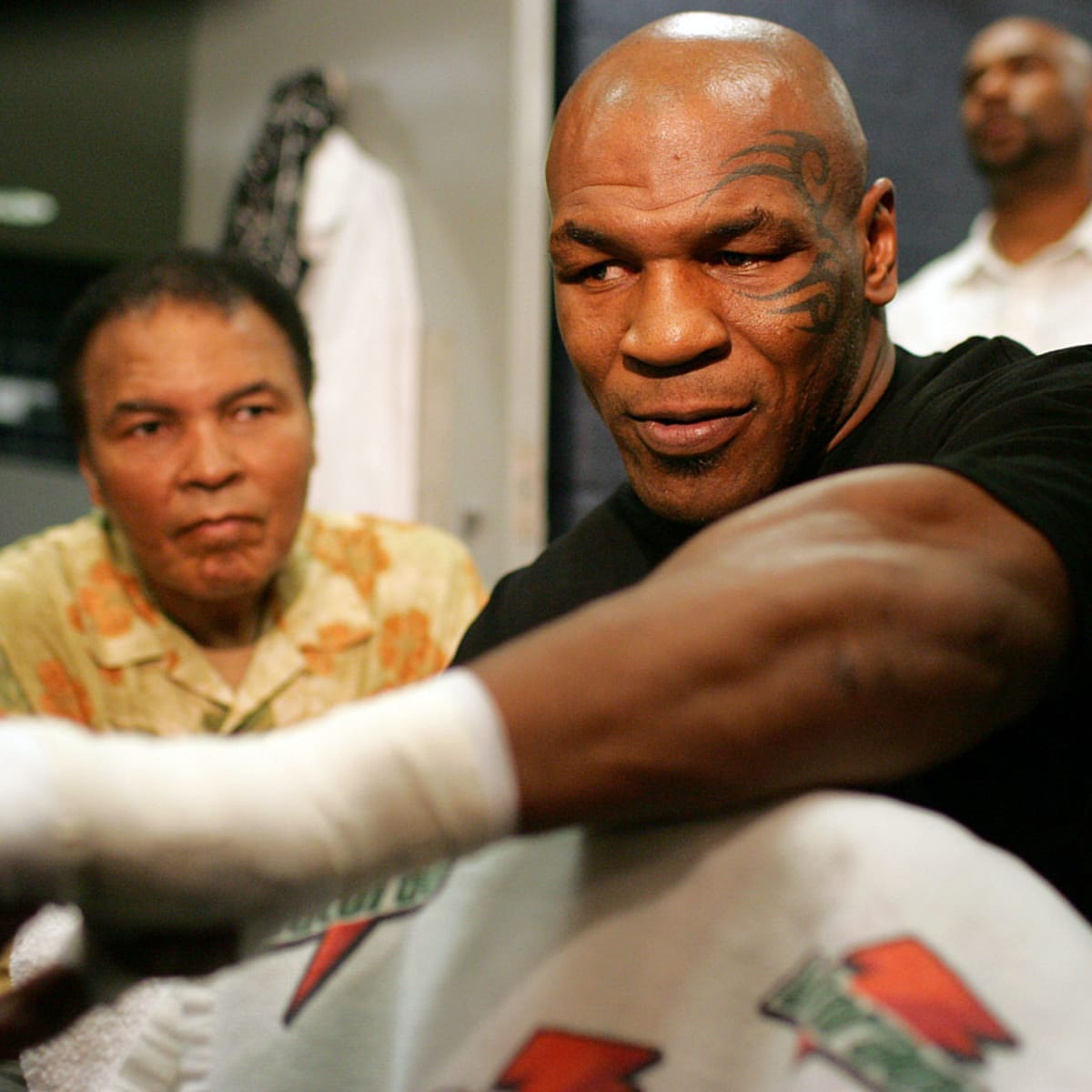 Mike Tyson Tiger Wallpapers Top Free Mike Tyson Tiger Backgrounds