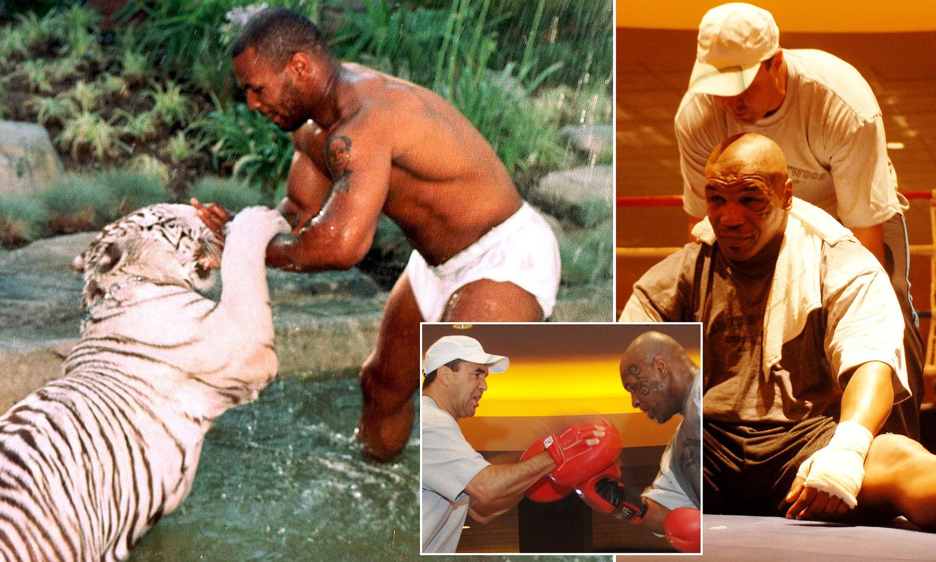 1908x1146 Mike Tyson's former trainer reveals champ once locked him in cage with tiger!. Daily Mail Online