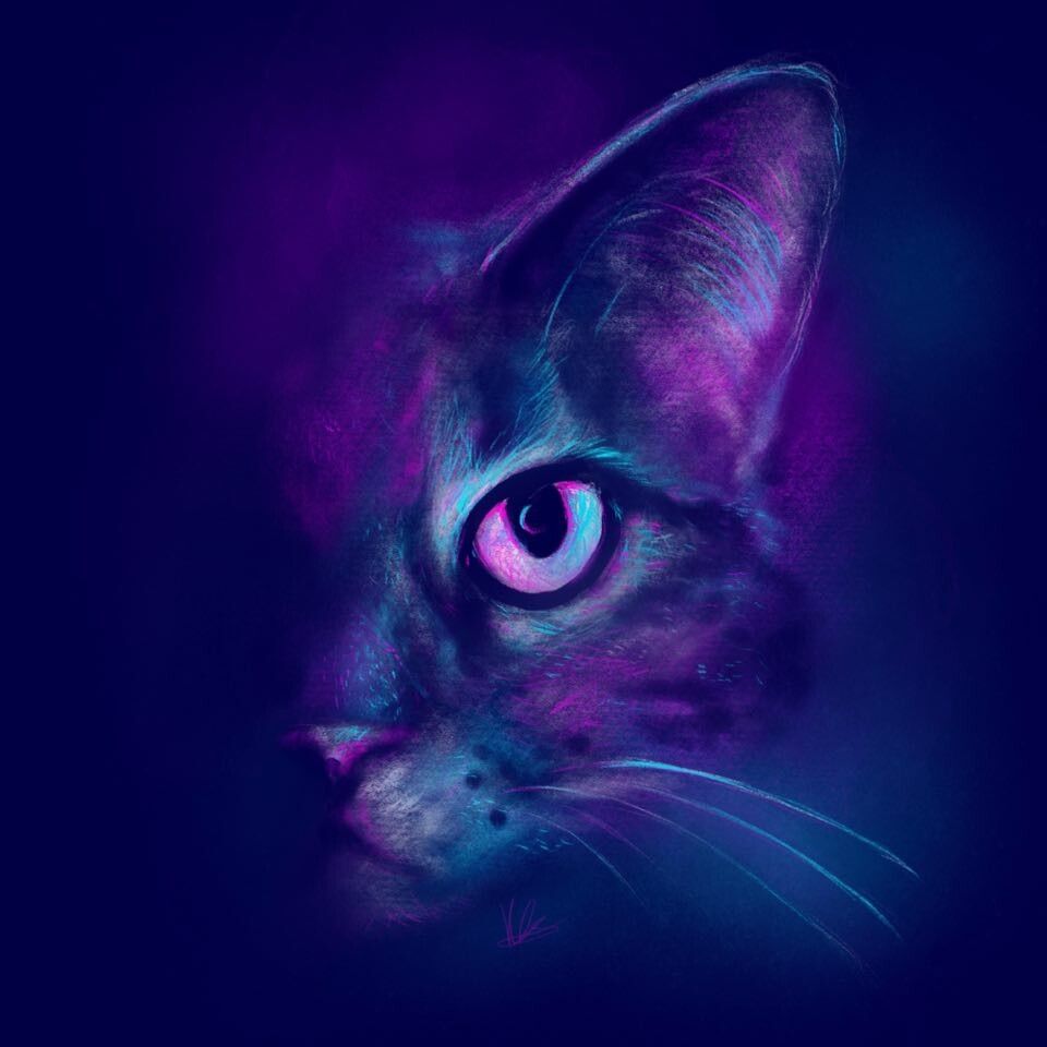 960x960 Cats Glare Aesthetic Cat Portrait