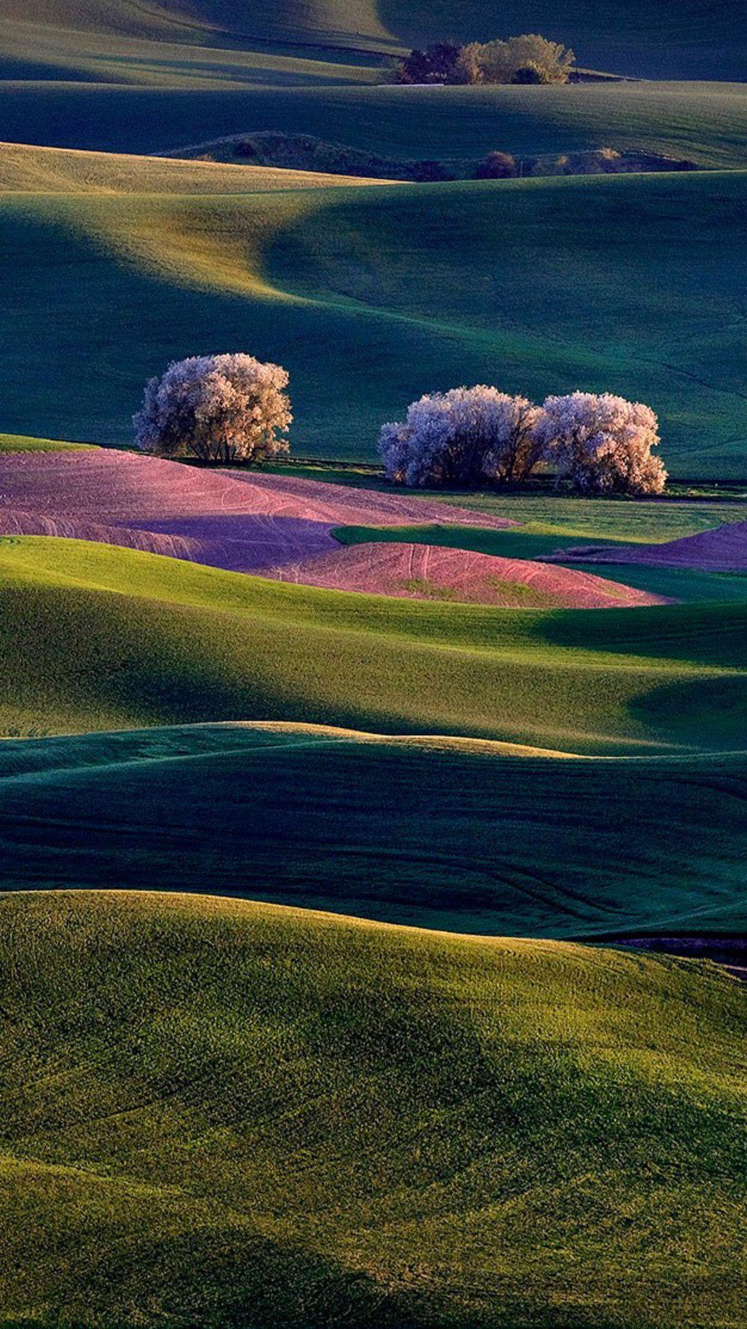 1080x1920 Colorful Valley Full HD Smartphone Wallpaper
