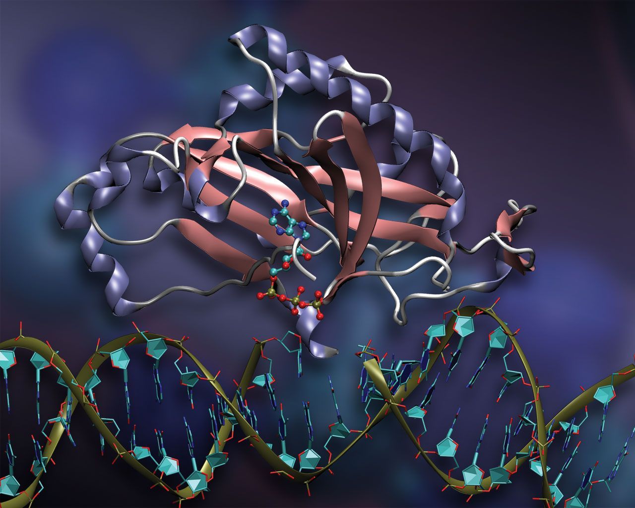 Bioinformatics Wallpapers Top Free Bioinformatics Backgrounds 