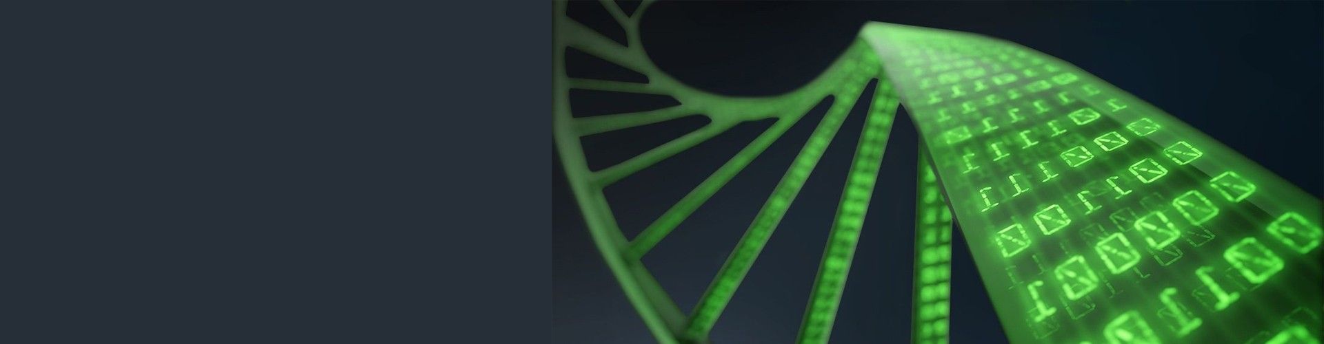 1920x500 Bioinformatics Brook Smith Reynolds