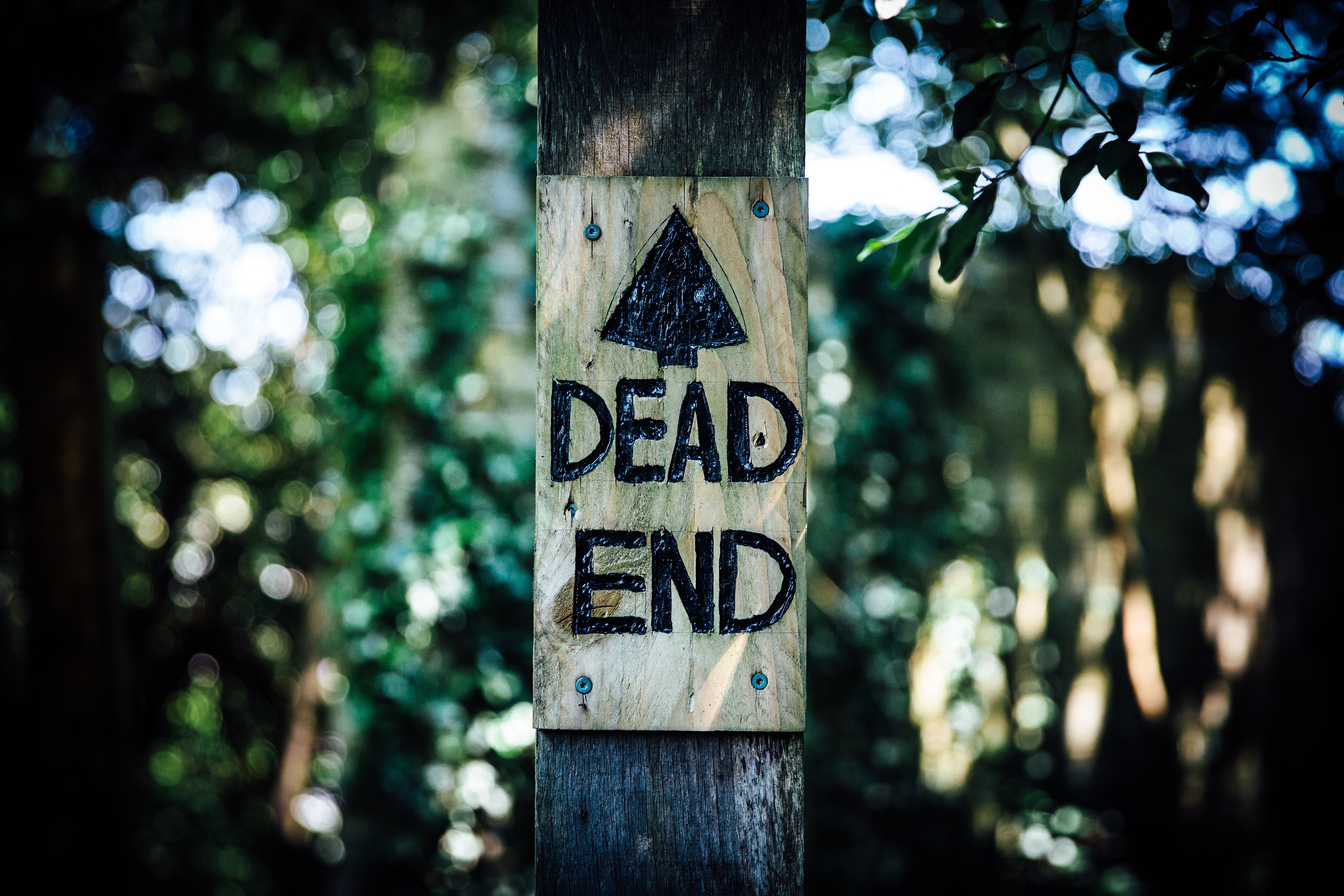 5000x3333 Download Dead End wallpaper for mobile phone, free Dead End HD picture