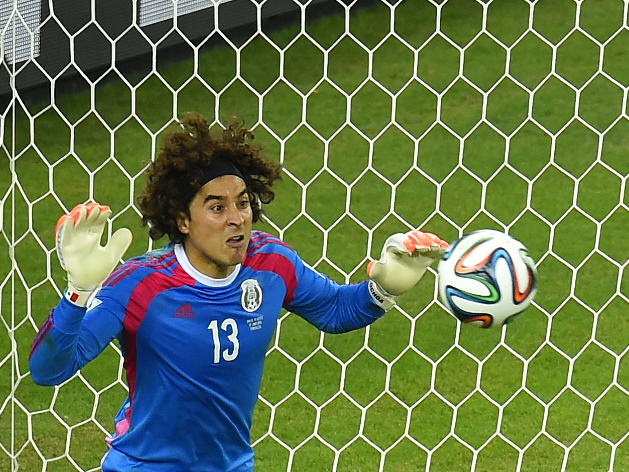 2048x1536 Free download Memo Ochoa Diving Wallpaper Image [2048x1536] for your Desktop, Mobile & Tablet. Explore Guillermo Ochoa Wallpaper. Christina Ochoa Wallpaper