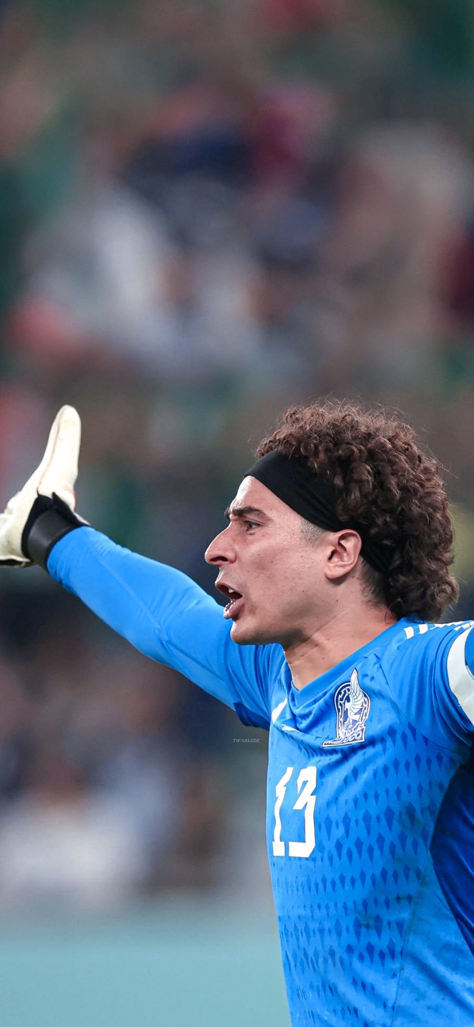 Memo Ochoa Wallpapers - Top Free Memo Ochoa Backgrounds - WallpaperAccess
