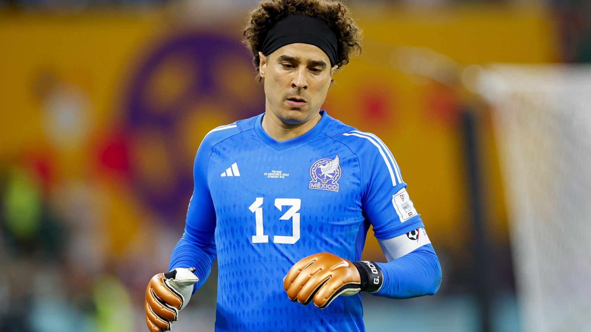 Memo Ochoa Wallpapers - Top Free Memo Ochoa Backgrounds - WallpaperAccess