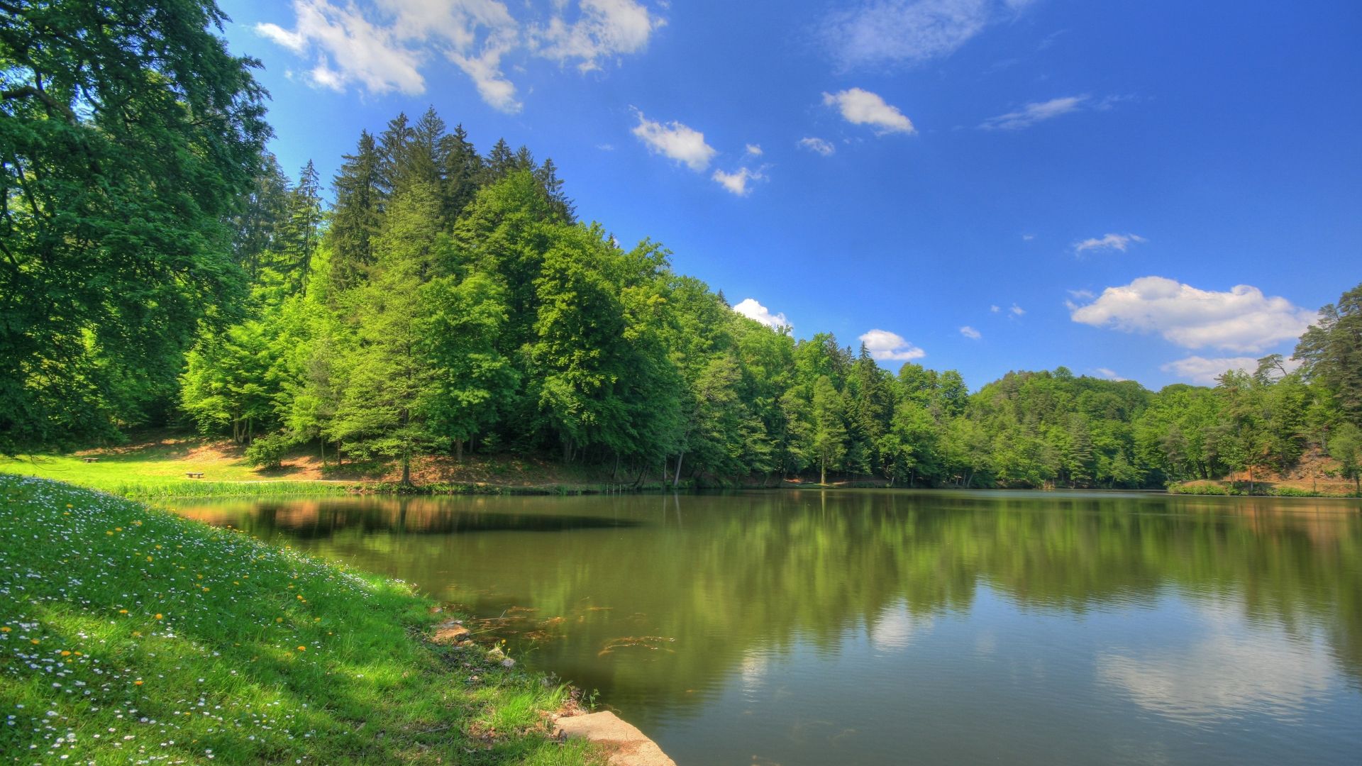 1920x1080 Full HDTV Wallpaper 1920x1080