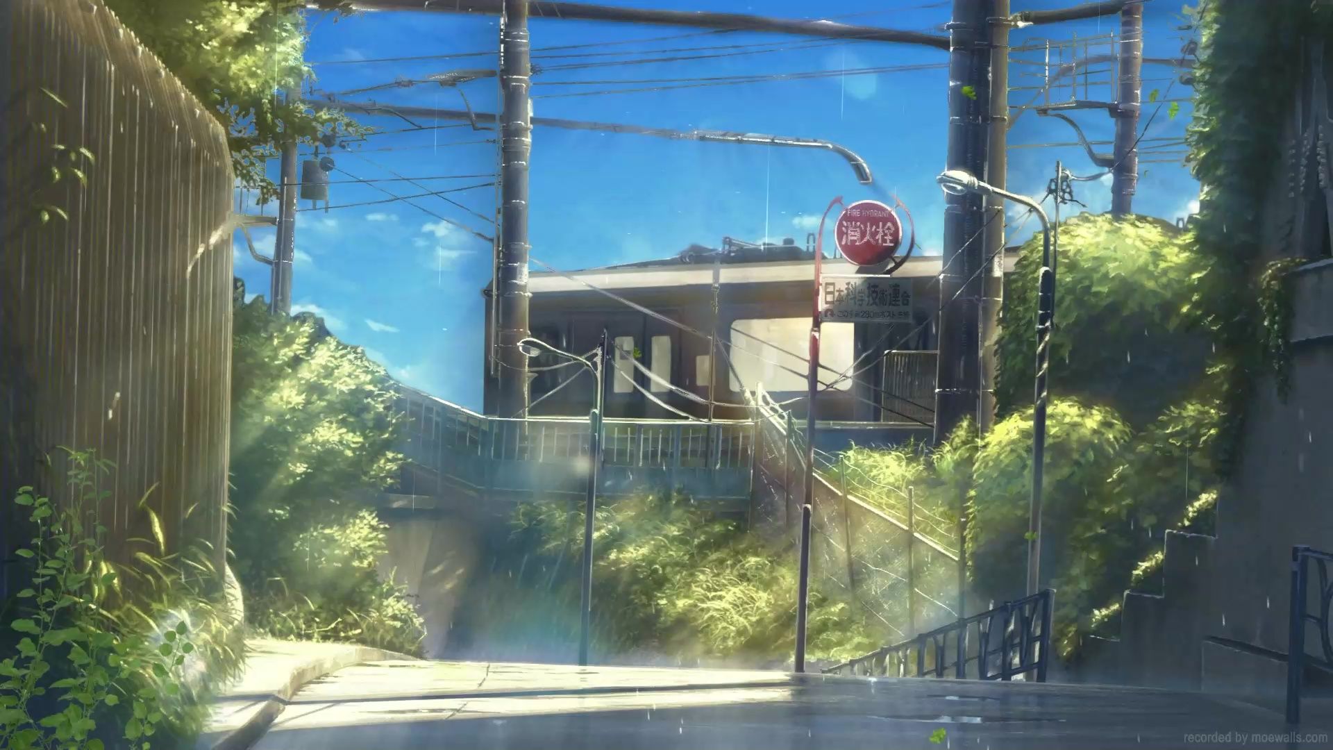 1920x1080 Full HD Live Wallpaper, 1080p