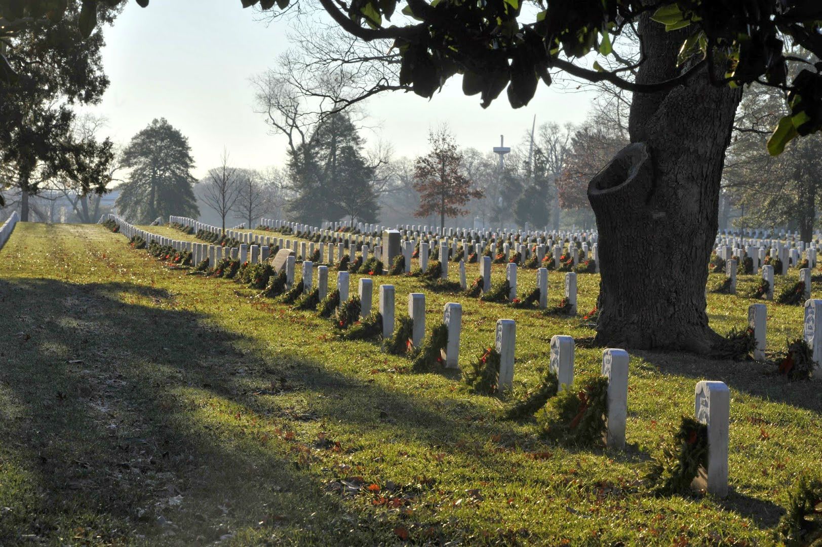 1623x1080 Arlington National Cemetery Tours. Pro Photo. Family Keepsakes. Arlington Cemetery Photographer