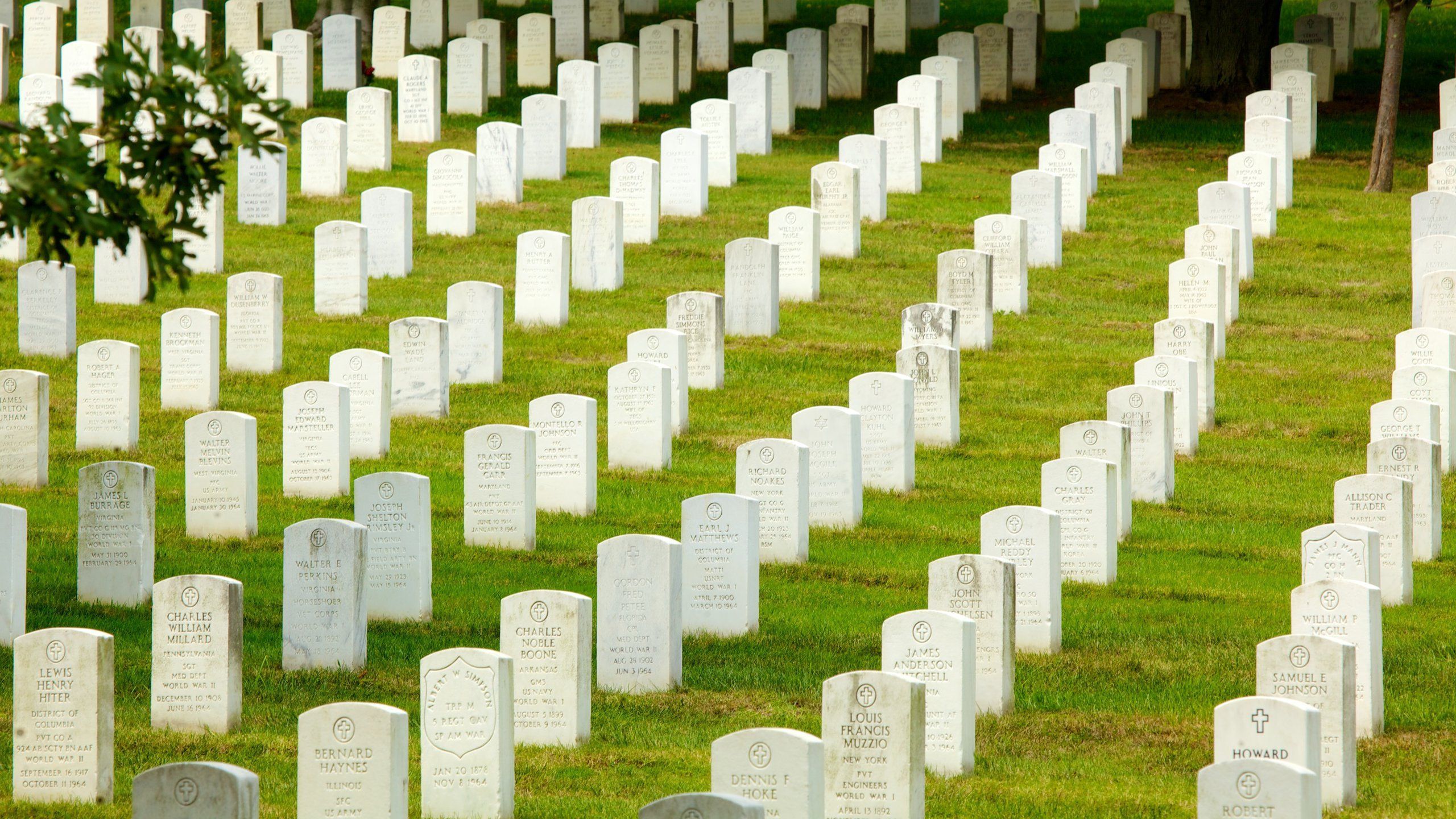 2560x1440 Arlington National Cemetery in Washington