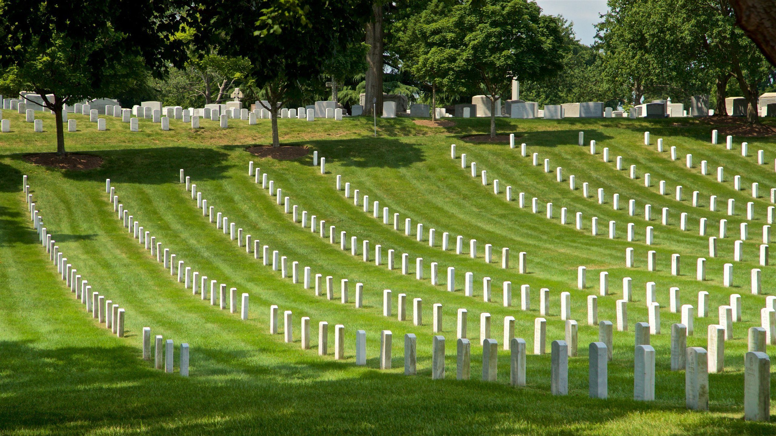 2560x1440 Arlington National Cemetery in Washington