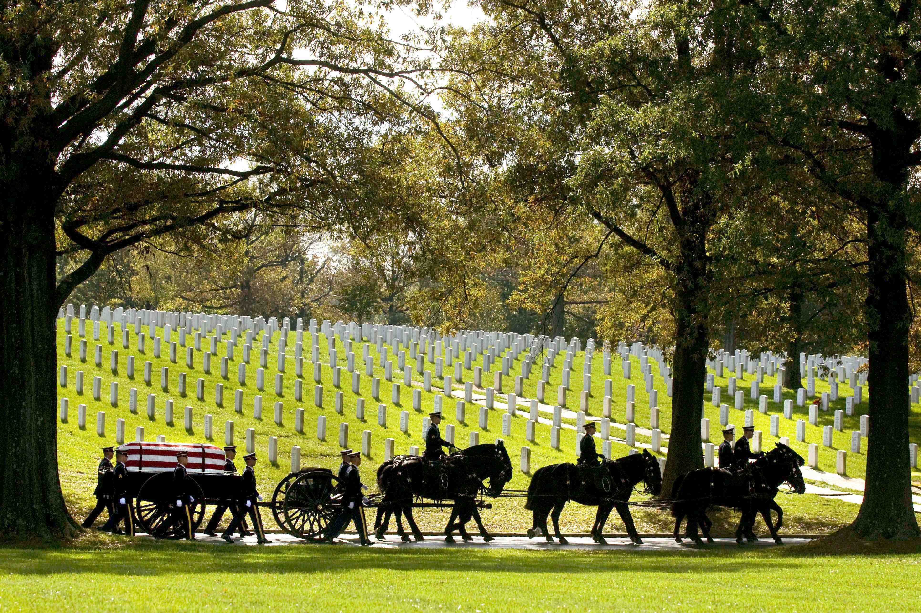 3862x2574 After Arlington National Cemetery horse deaths, Army makes changes to improve their care