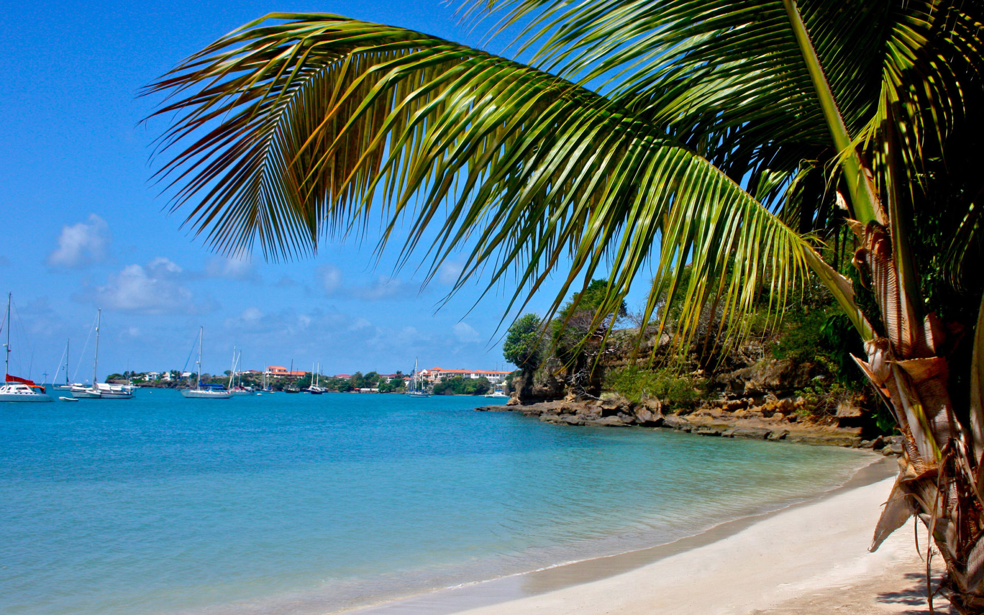 1920x1200 Grenada Nature HD Wallpaper 0258 :