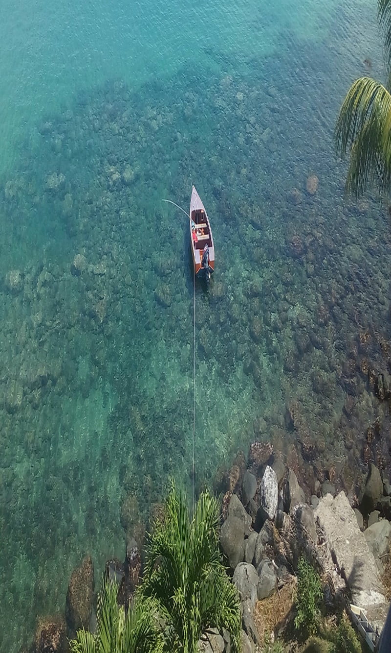 800x1333 HD grenada wallpaper