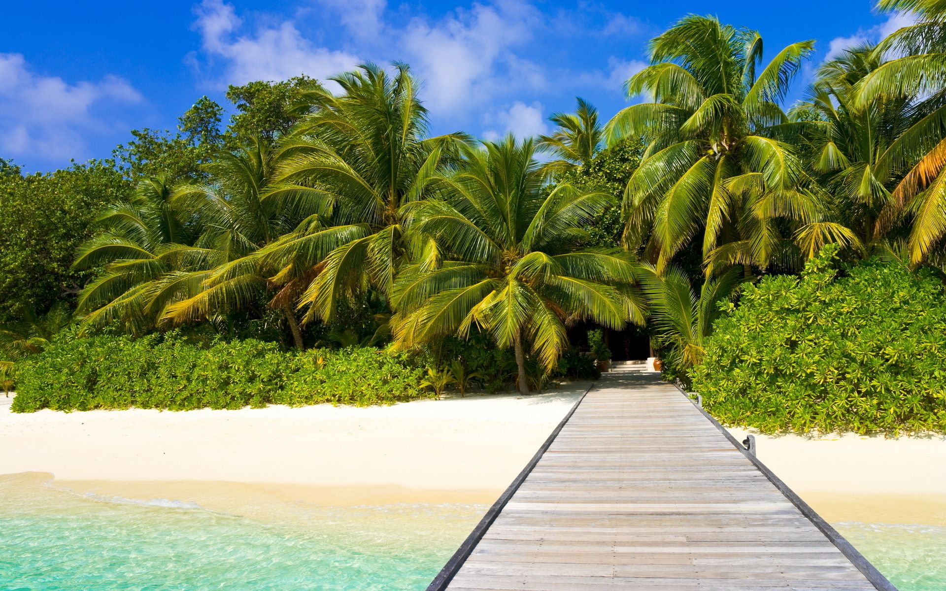 1920x1200 Photography Tropical HD Wallpaper
