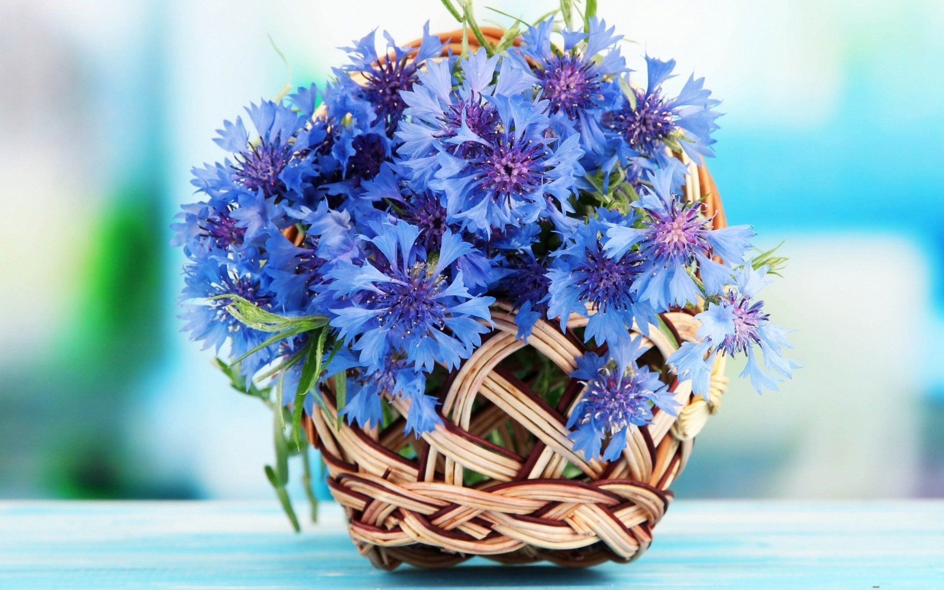 Flower Basket Wallpapers - Top Free Flower Basket Backgrounds