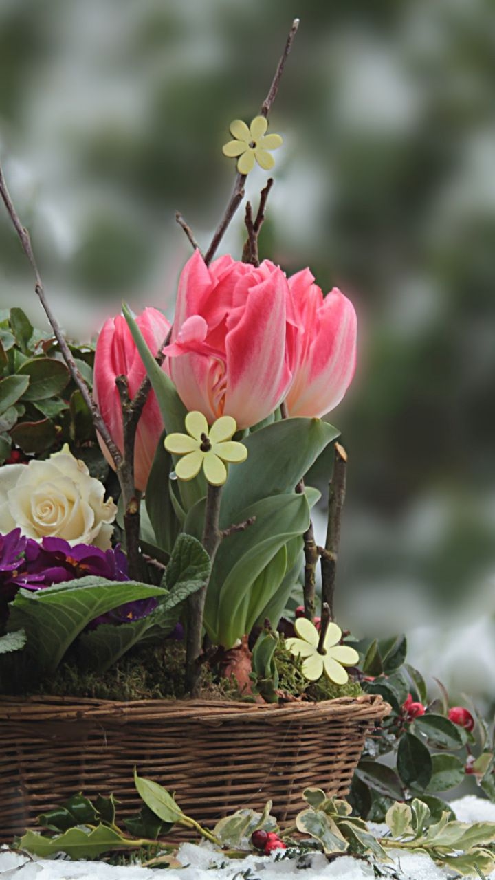 Flower Basket Wallpapers Top Free Flower Basket Backgrounds