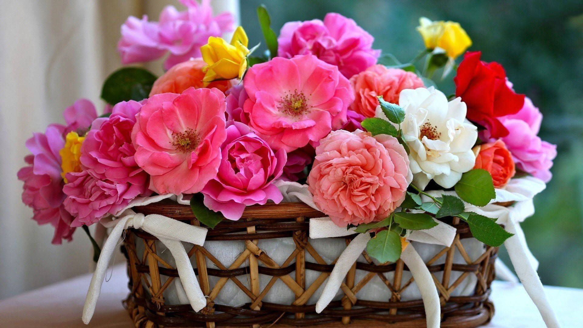 Flower Basket Wallpapers - Top Free Flower Basket Backgrounds