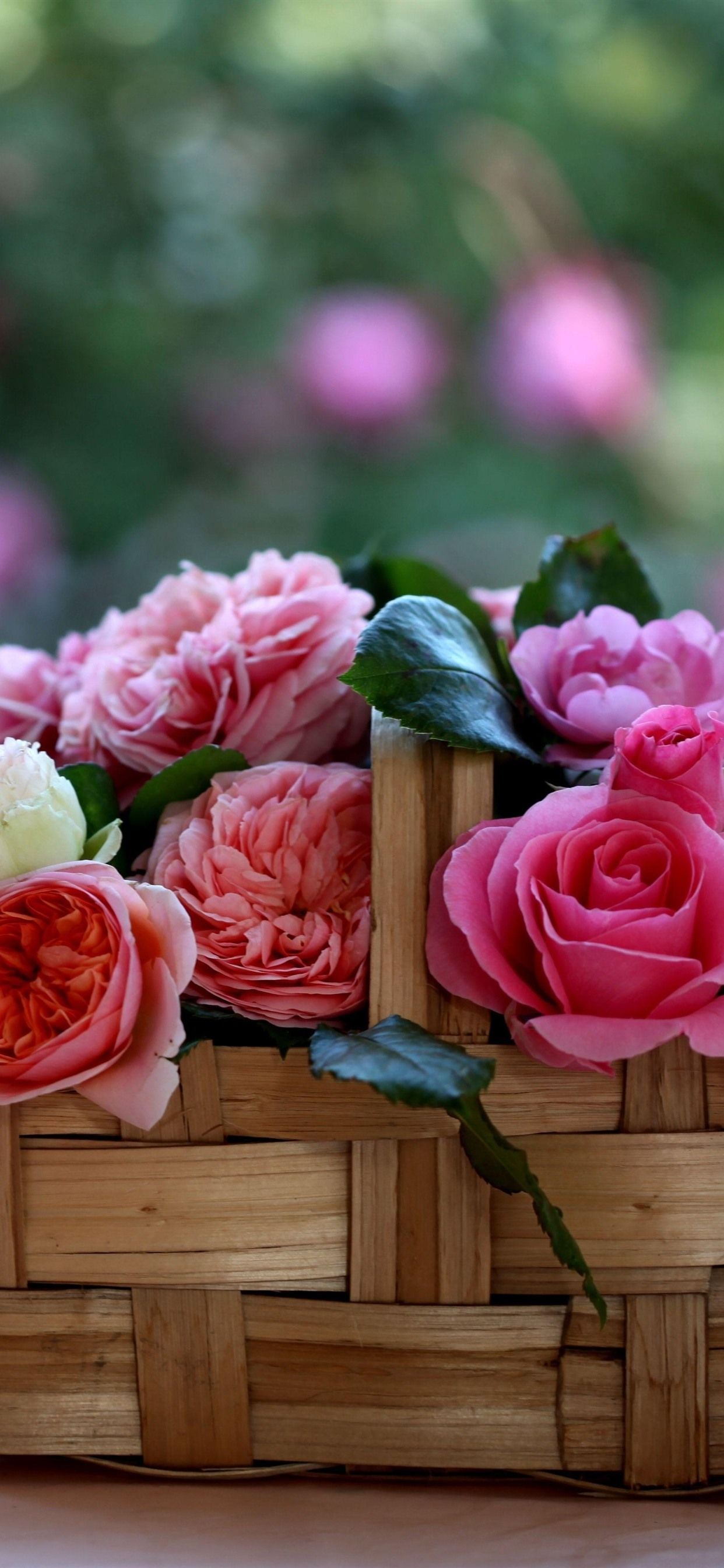 Flower Basket Wallpapers Top Free Flower Basket Backgrounds