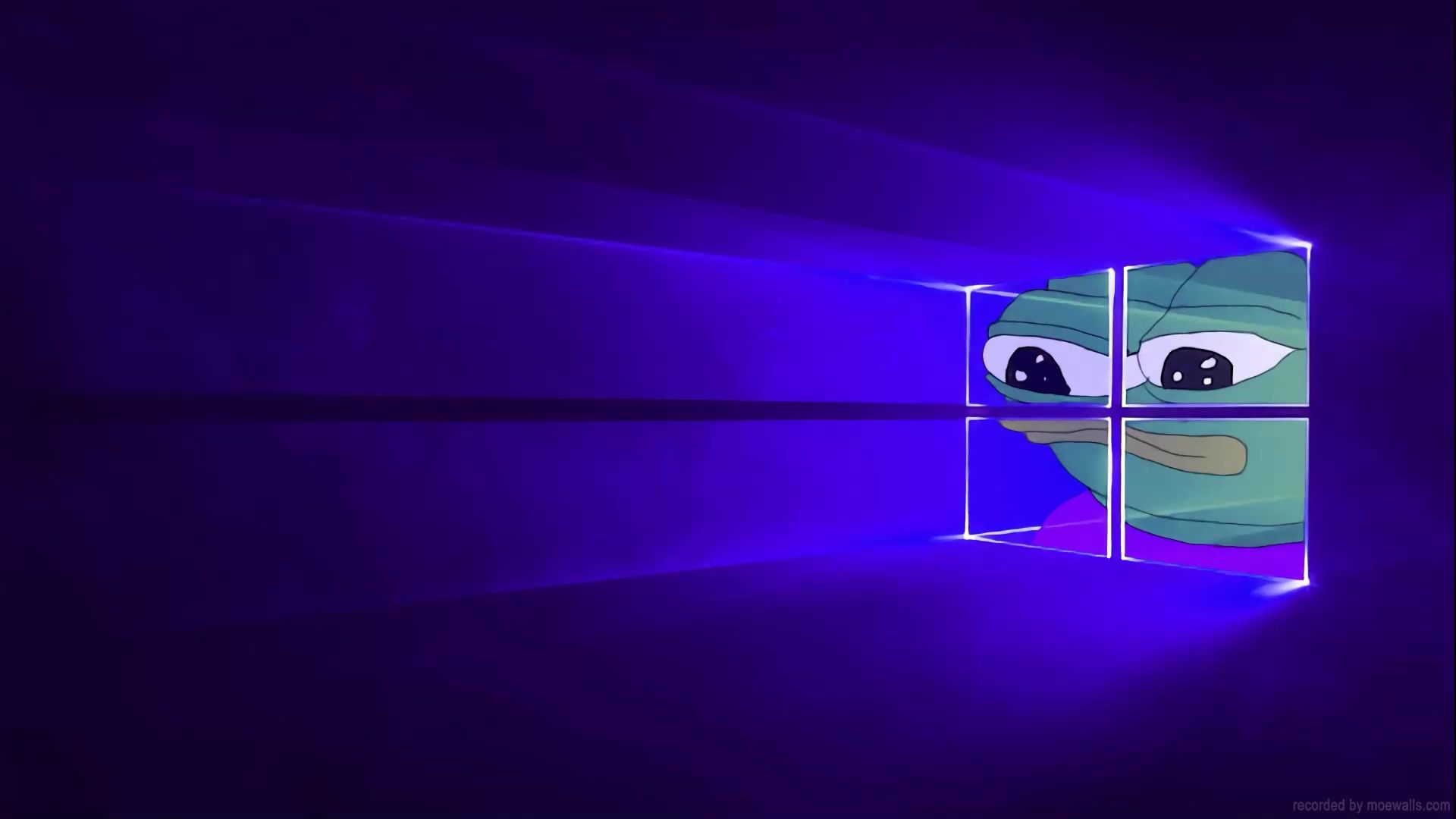 1920x1080 Pepe Windows Live Wallpaper