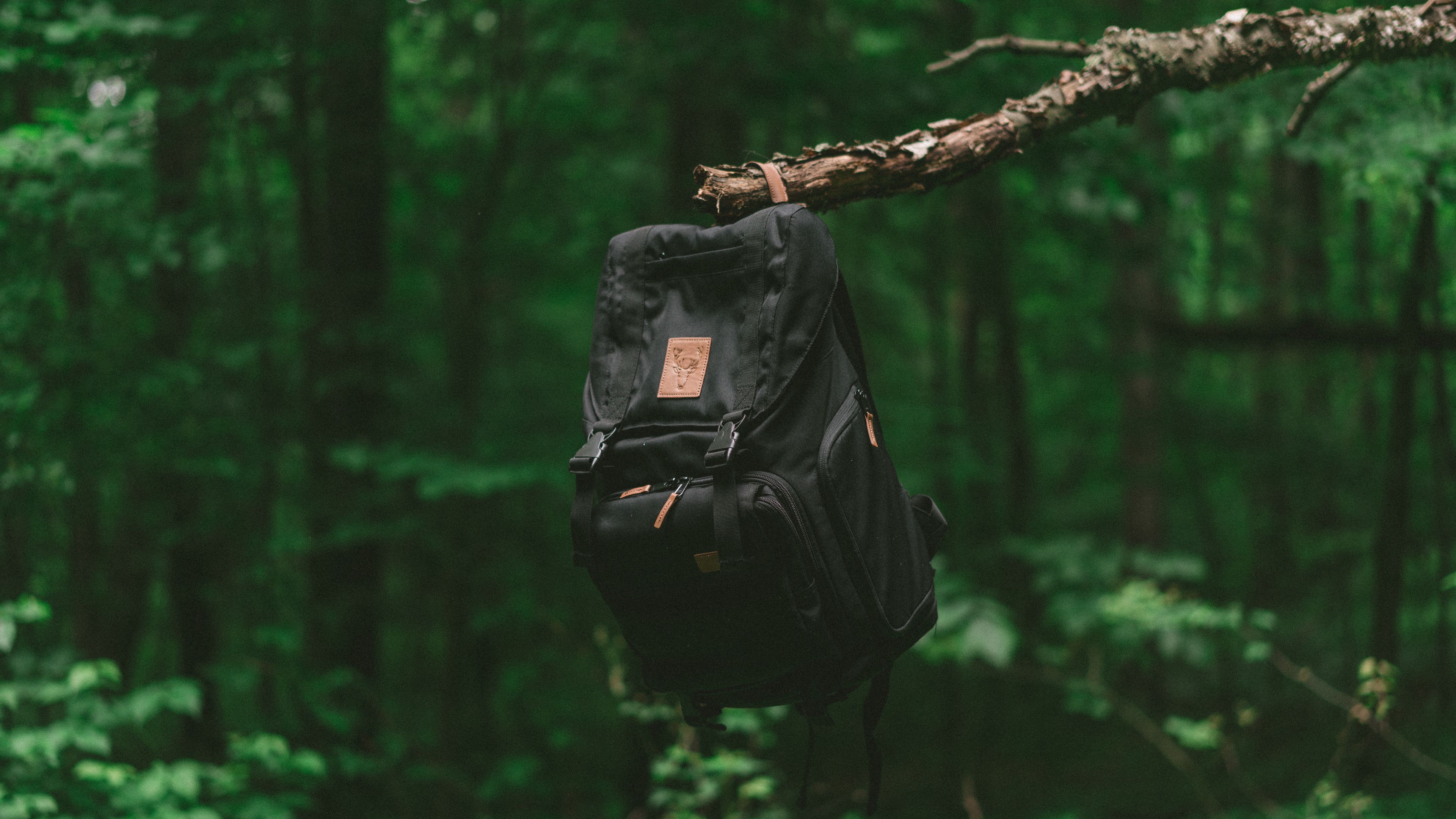 3840x2160 Wallpaper / backpack, branch, forest, travel, 4k free download