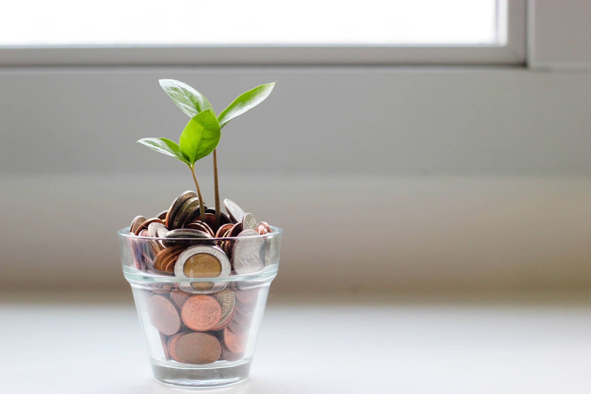 1920x1280 Download Growing Wealth & Prosperity Wallpaper