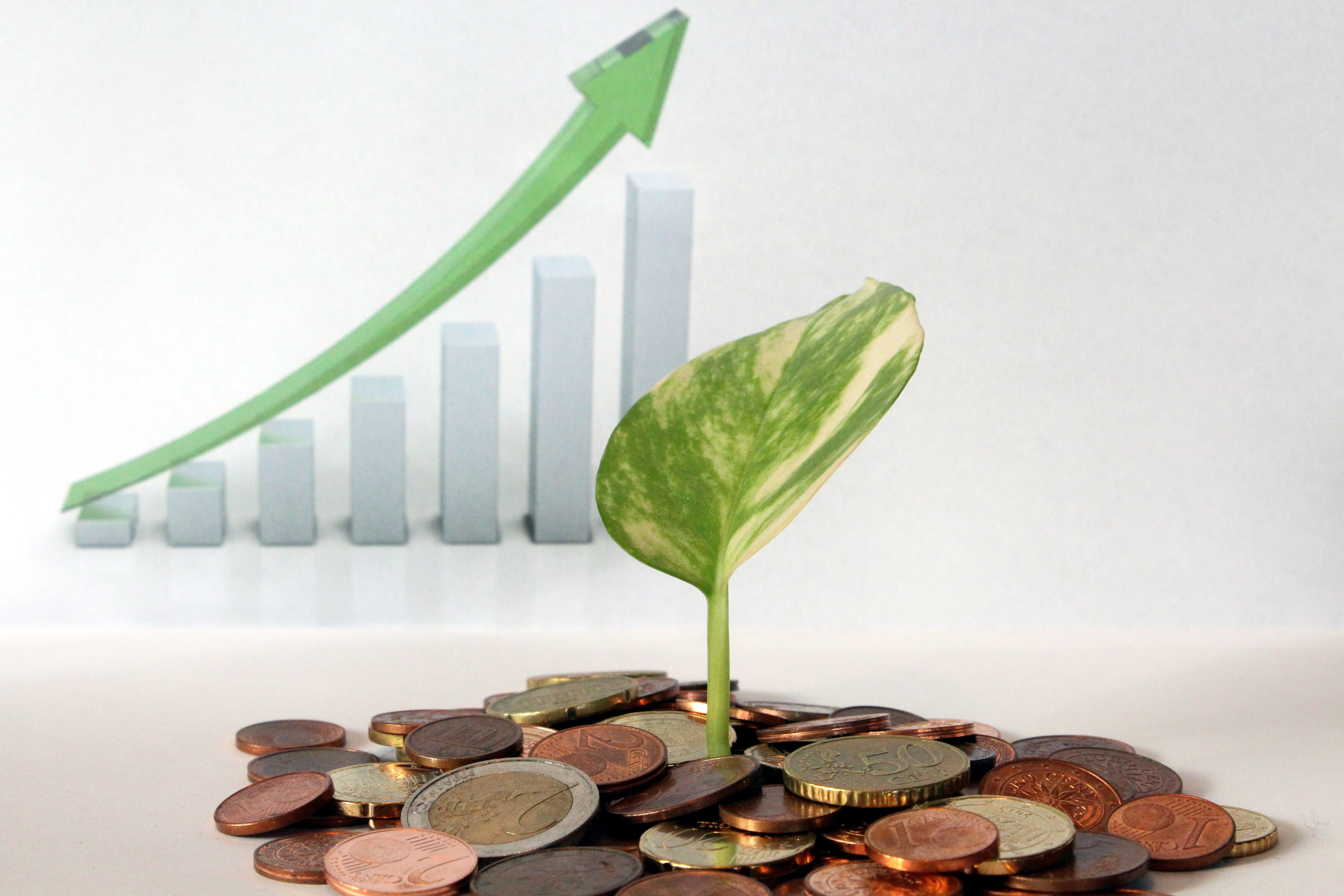 5184x3456 Wallpaper / leaf, success, making Money, green Color, industry, chart, coins, money, plant, assorted, green, market, green leaf, no people, team, profit, investment free download