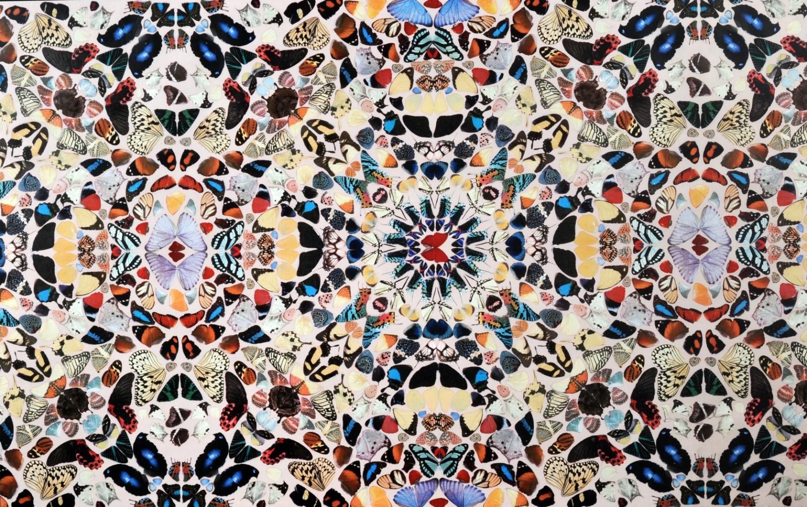 Damien Hirst Wallpapers Top Free Damien Hirst Backgrounds — free download