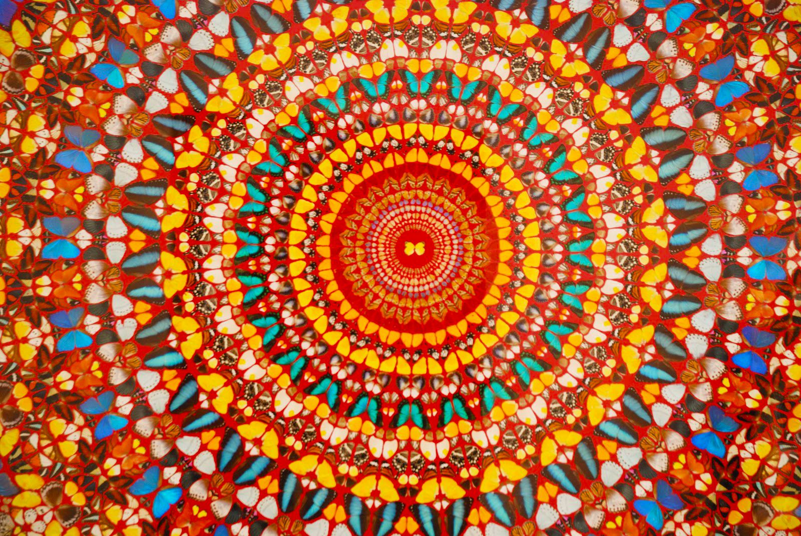 Damien Hirst Wallpapers - Top Free Damien Hirst Backgrounds