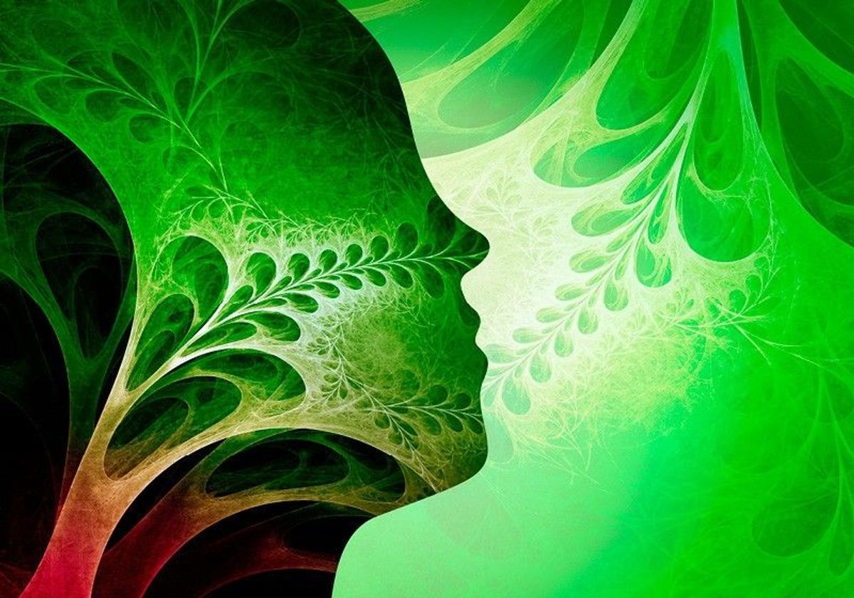 Smell Wallpapers Top Free Smell Backgrounds WallpaperAccess