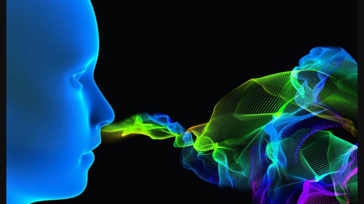 Smell Wallpapers Top Free Smell Backgrounds WallpaperAccess