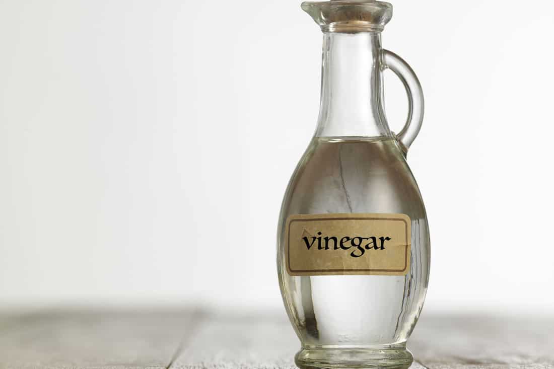 1100x733 Do Fabric Softener And Vinegar Remove Wallpaper Easily? [And How To]