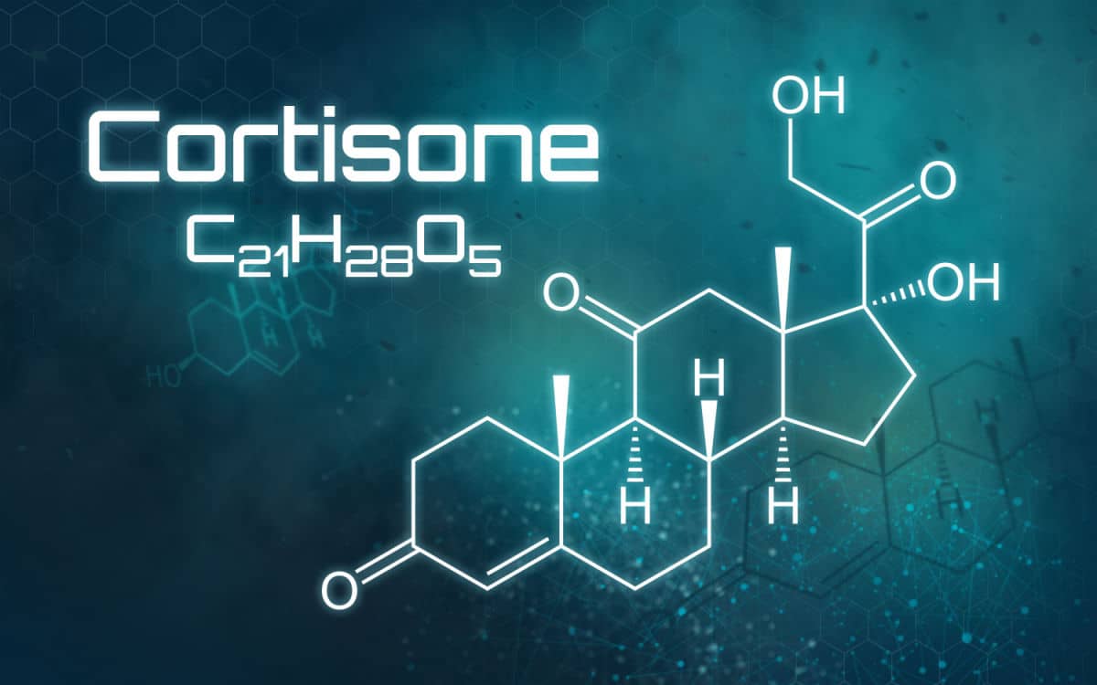 1200x750 Cortisone: The End of an Era (Play Forever Excerpt)