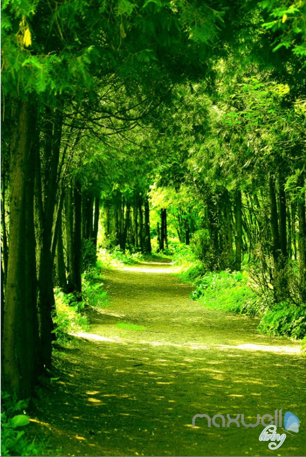 1004x1500 3D Green Forest Sunbeam Corridor Entrance Wall Mural Decals Art Print Wallpaper 060. Beautiful landscape wallpaper, Landscape wallpaper, Nature wallpaper