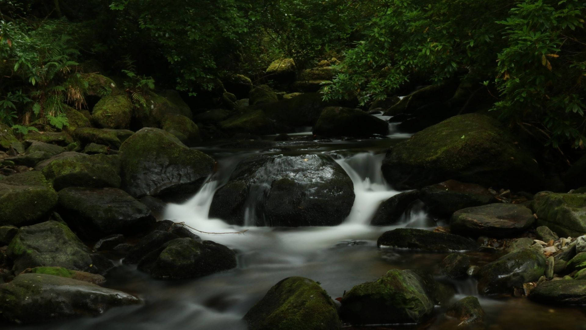1920x1080 Desktop Wallpaper Water Running, River, Nature, Forest, Rocks, HD Image, Picture, Background, Ac1582
