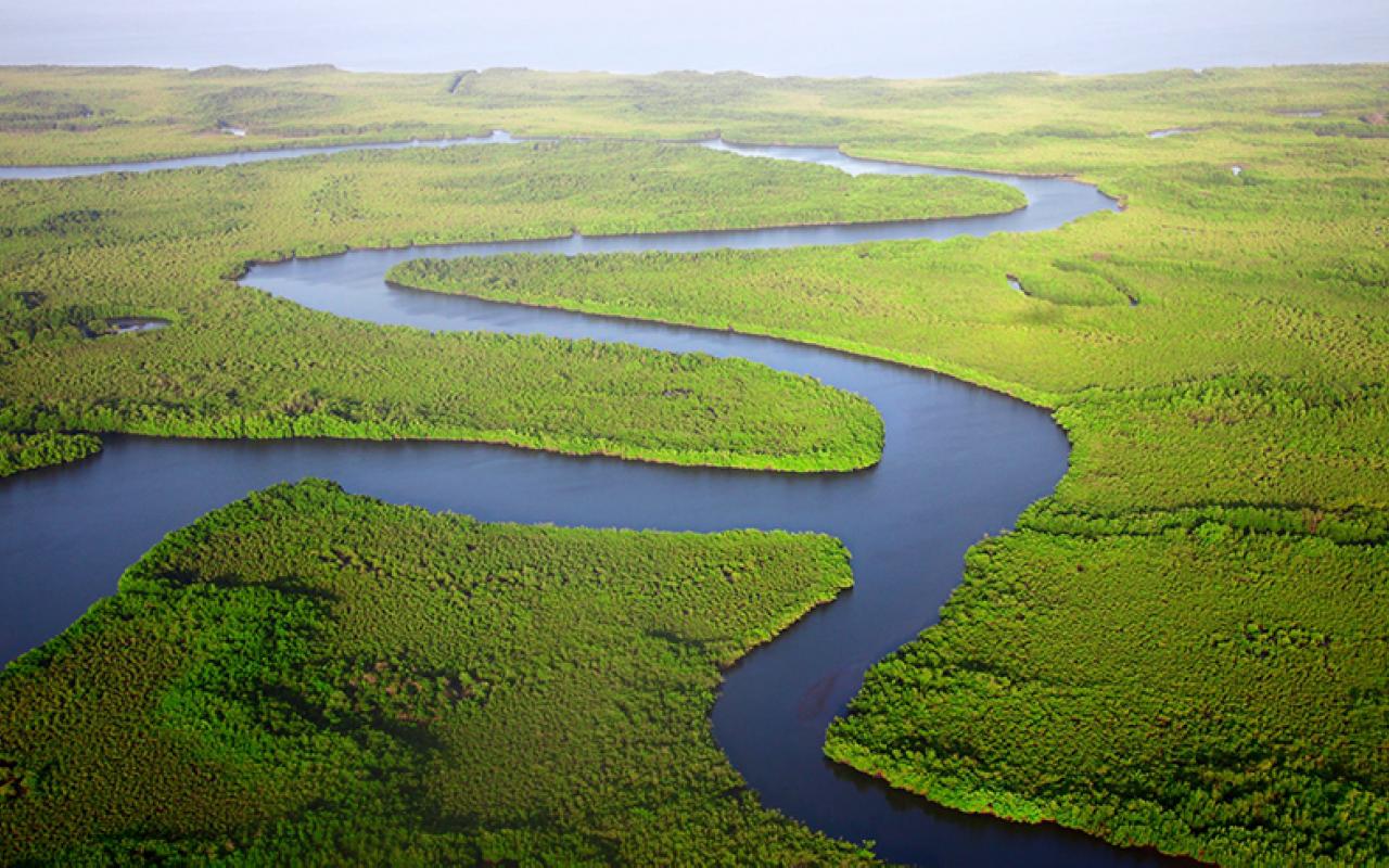 1280x800 The Gambia invests in valuing and safeguarding biodiversity