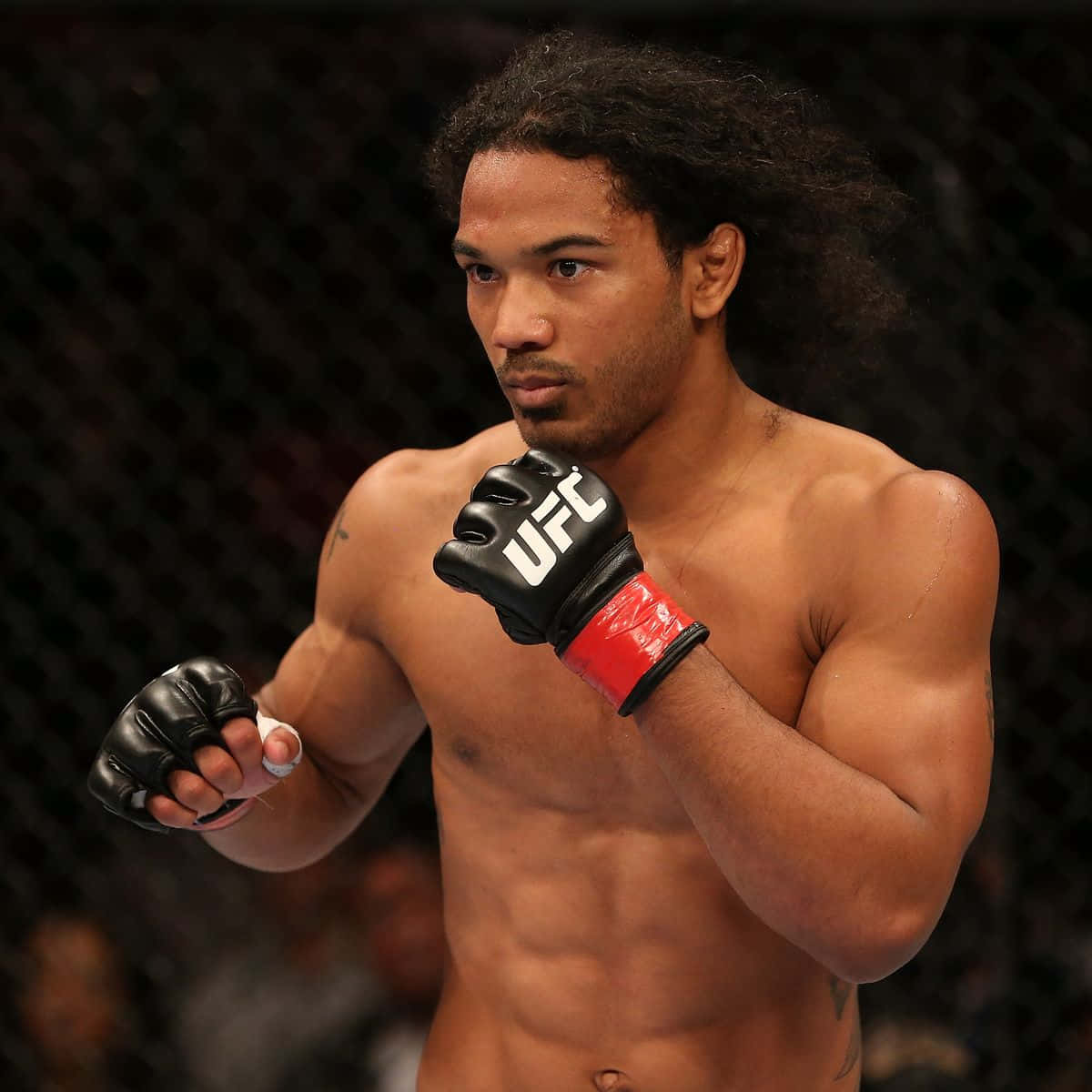 1200x1200 Download Mma Fighter Ben Henderson Striking Pose Photograph Wallpaper