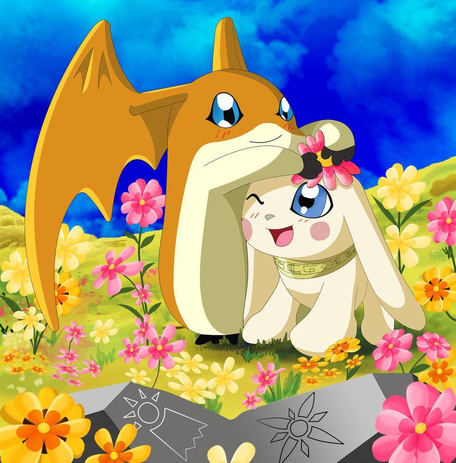 887x900 salamon and patamon