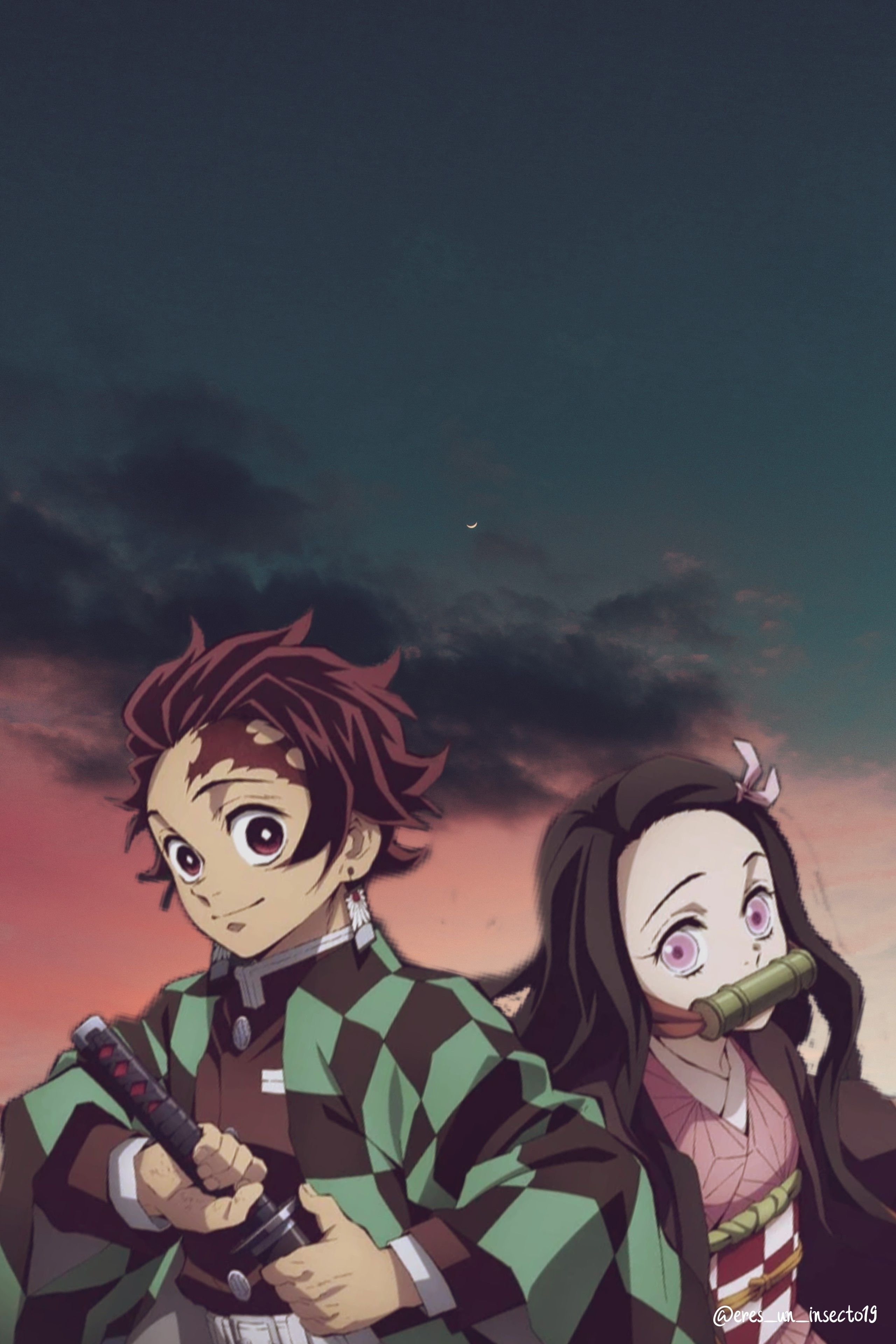 2560x3840 Tanjiro. Demon Slayer. Cartoon Wallpaper Download
